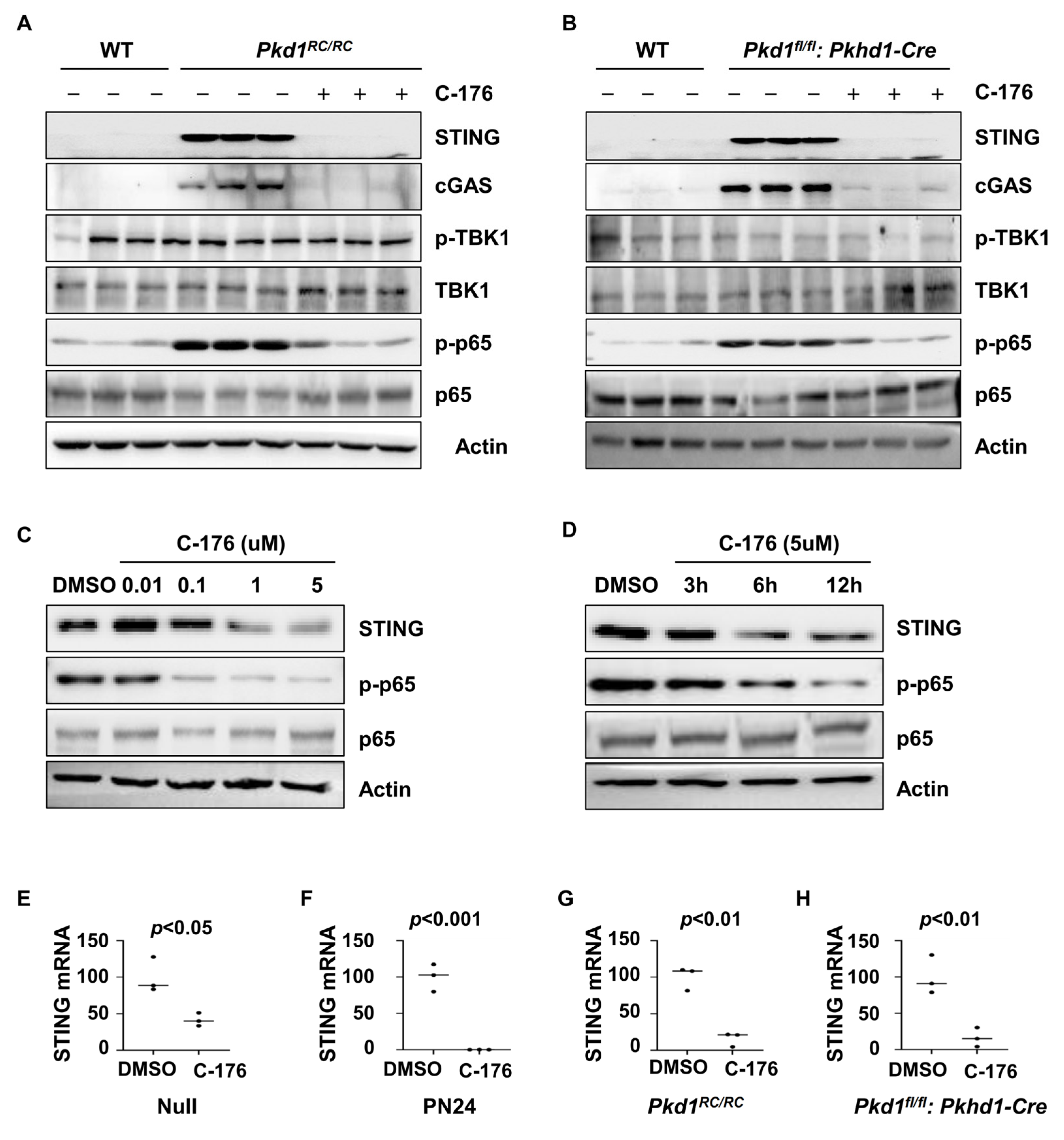 Biomolecules 14 01215 g004