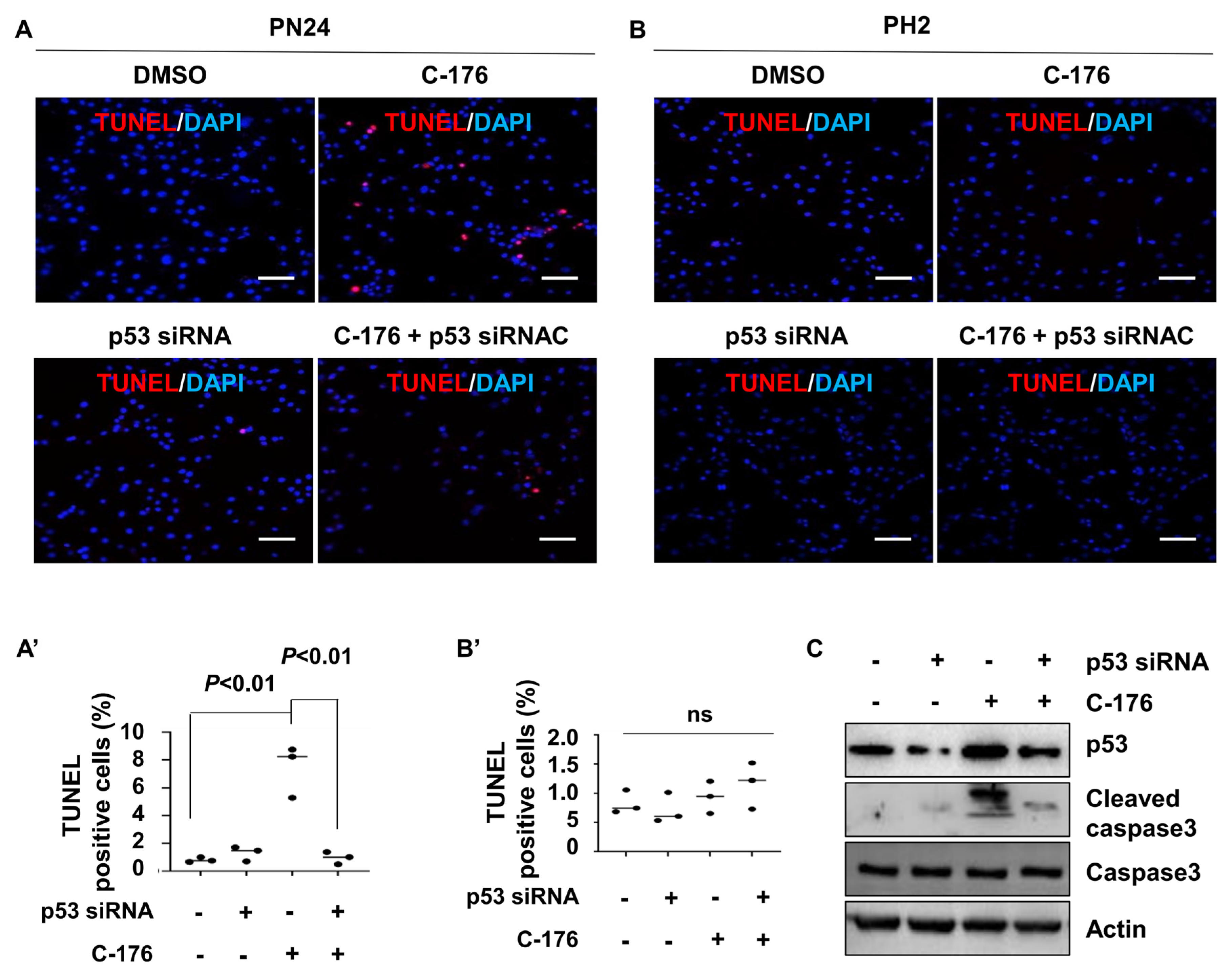 Biomolecules 14 01215 g007