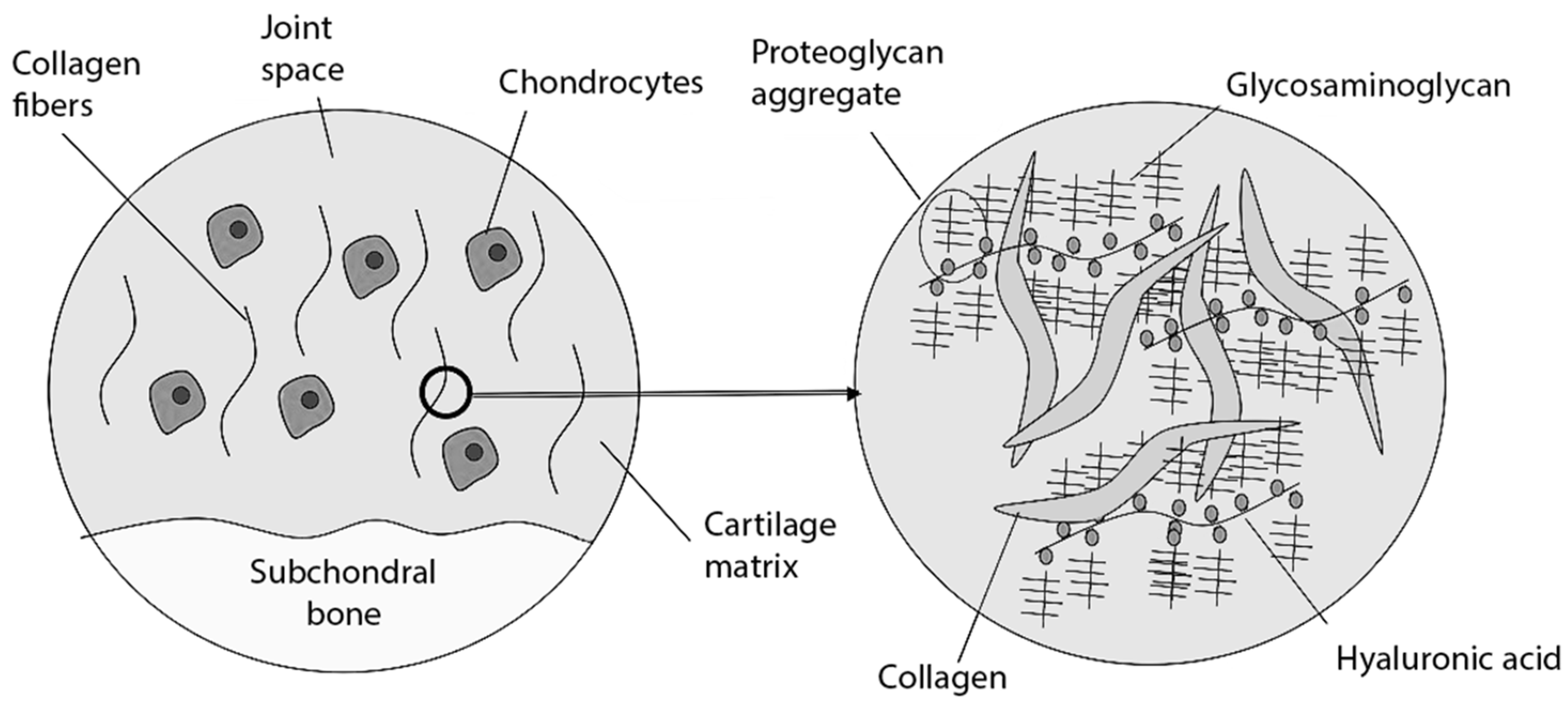 Biomolecules 14 01216 g001