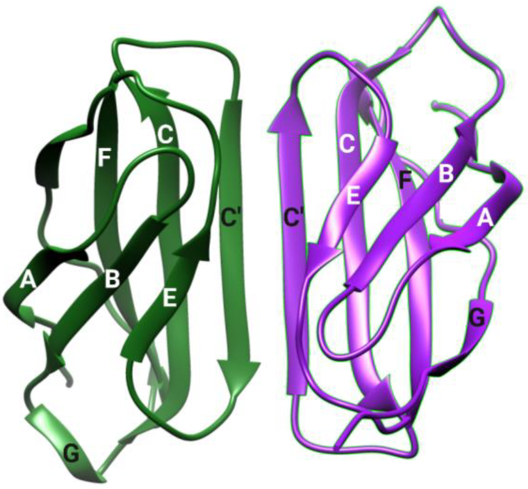 Biomolecules 14 01222 g001 Biomolecules 14 01222 g001