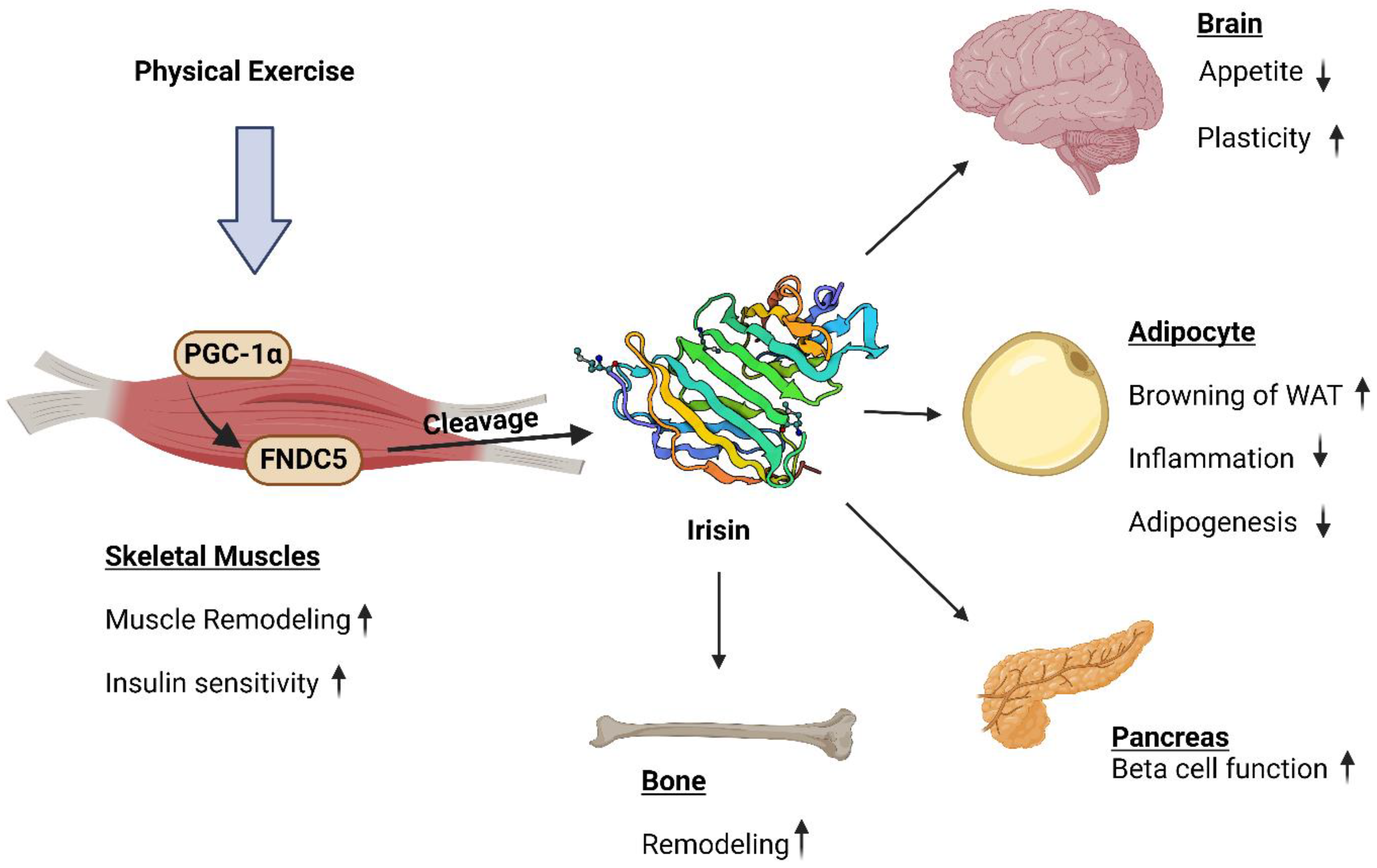 Biomolecules 14 01222 g002 Biomolecules 14 01222 g002
