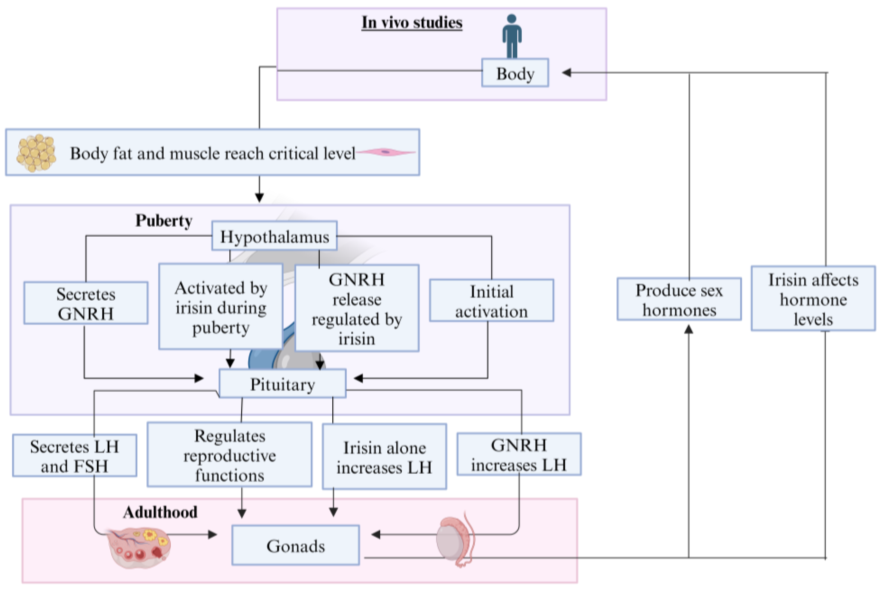 Biomolecules 14 01222 g003 Biomolecules 14 01222 g003