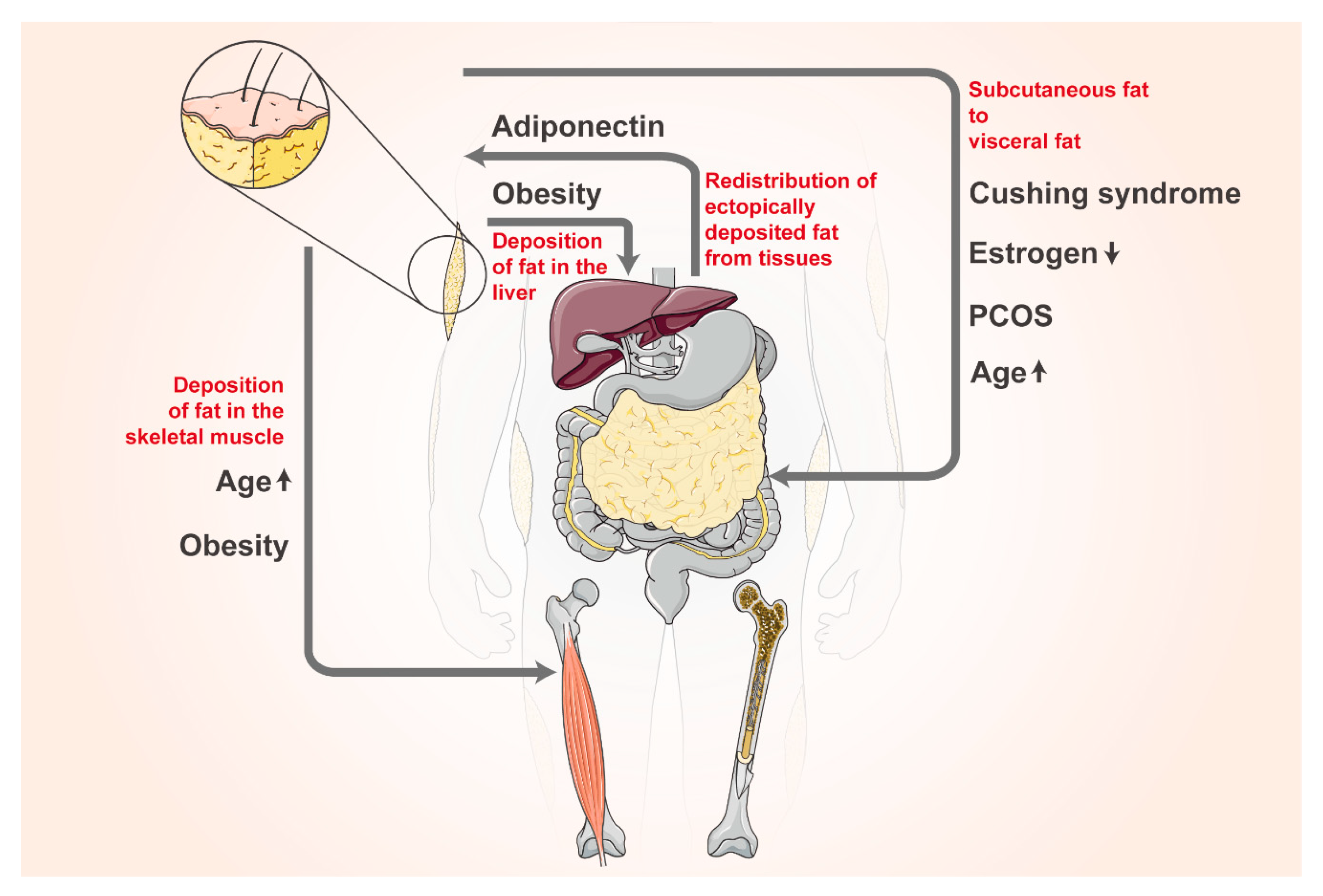 Biomolecules 14 01223 g003 Biomolecules 14 01223 g003