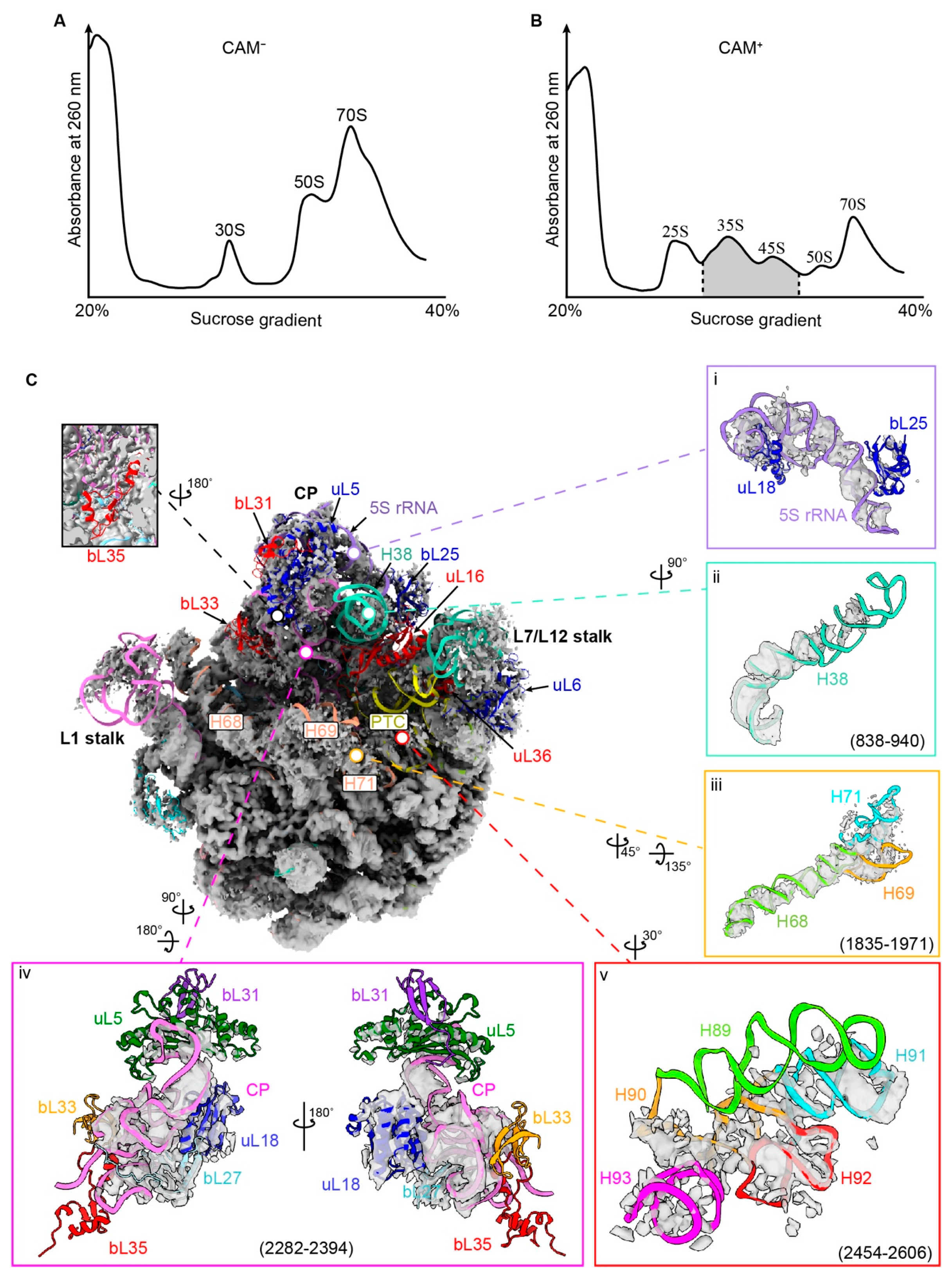 Biomolecules 14 01225 g002