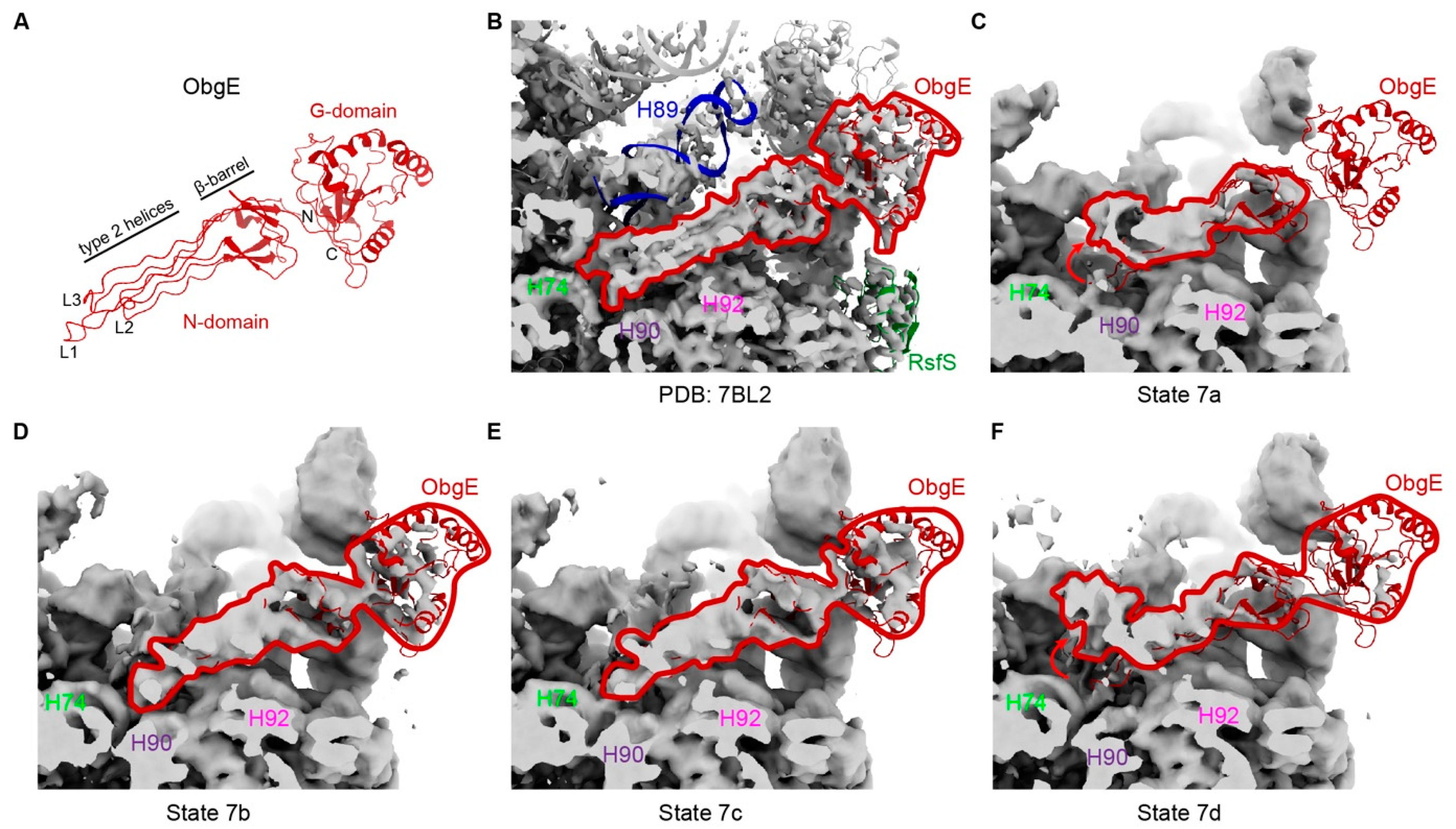 Biomolecules 14 01225 g005