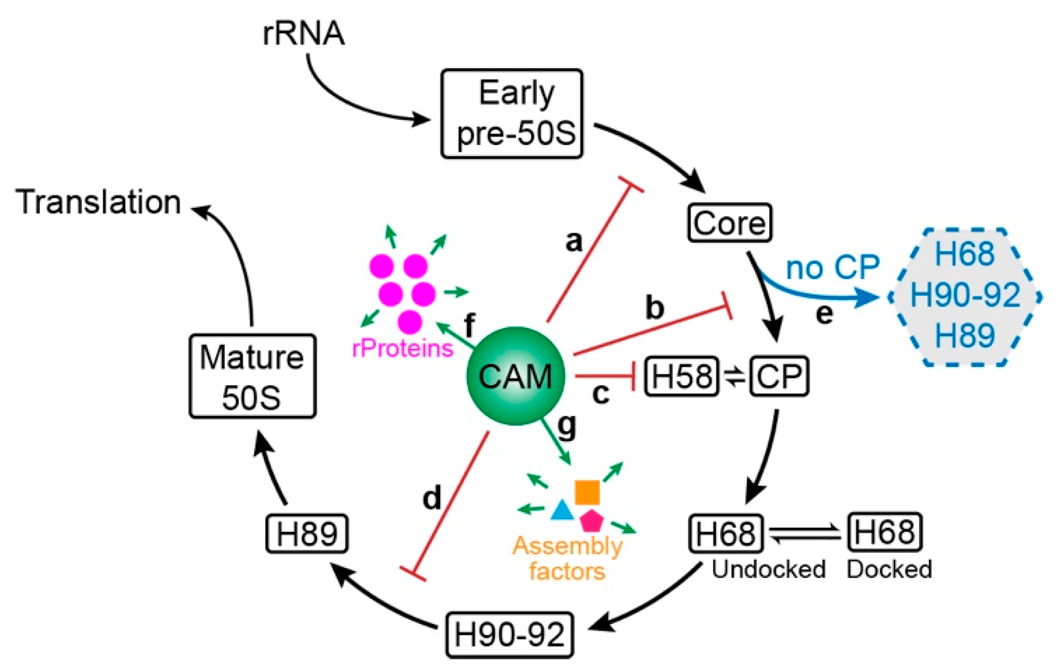 Biomolecules 14 01225 g006