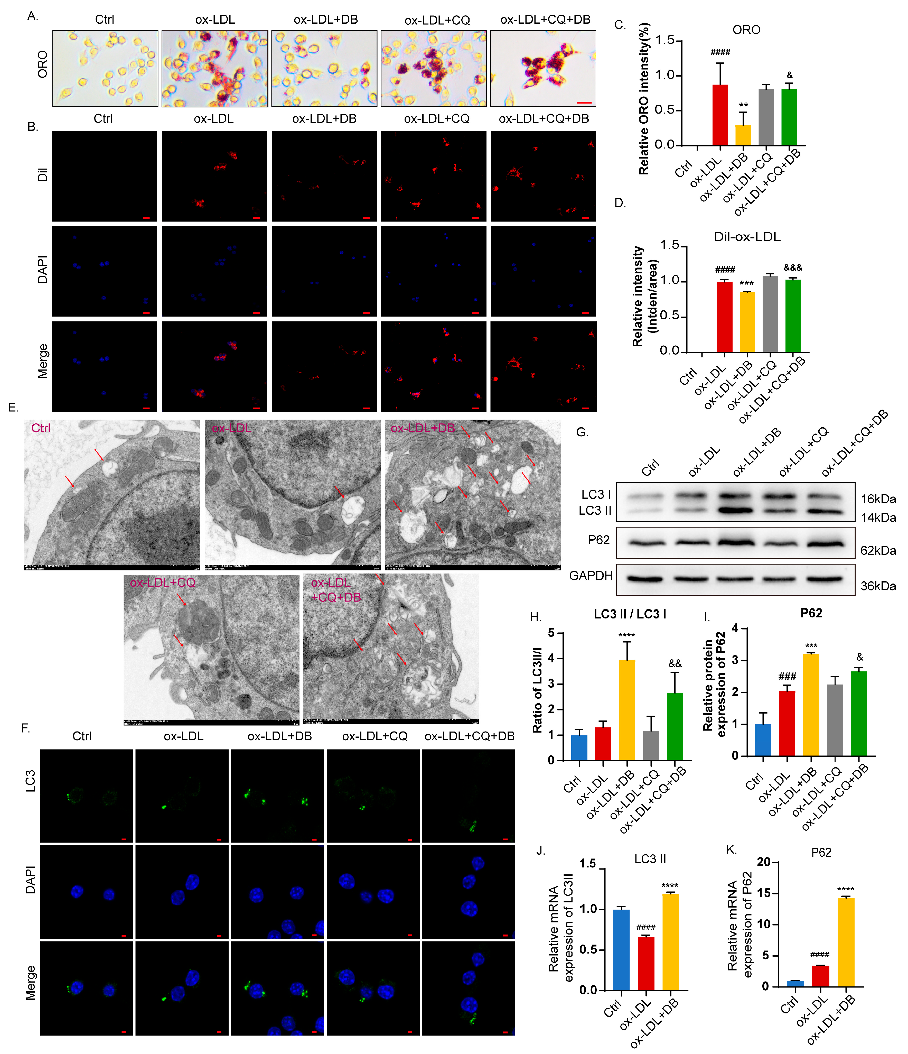 Biomolecules 14 01226 g007