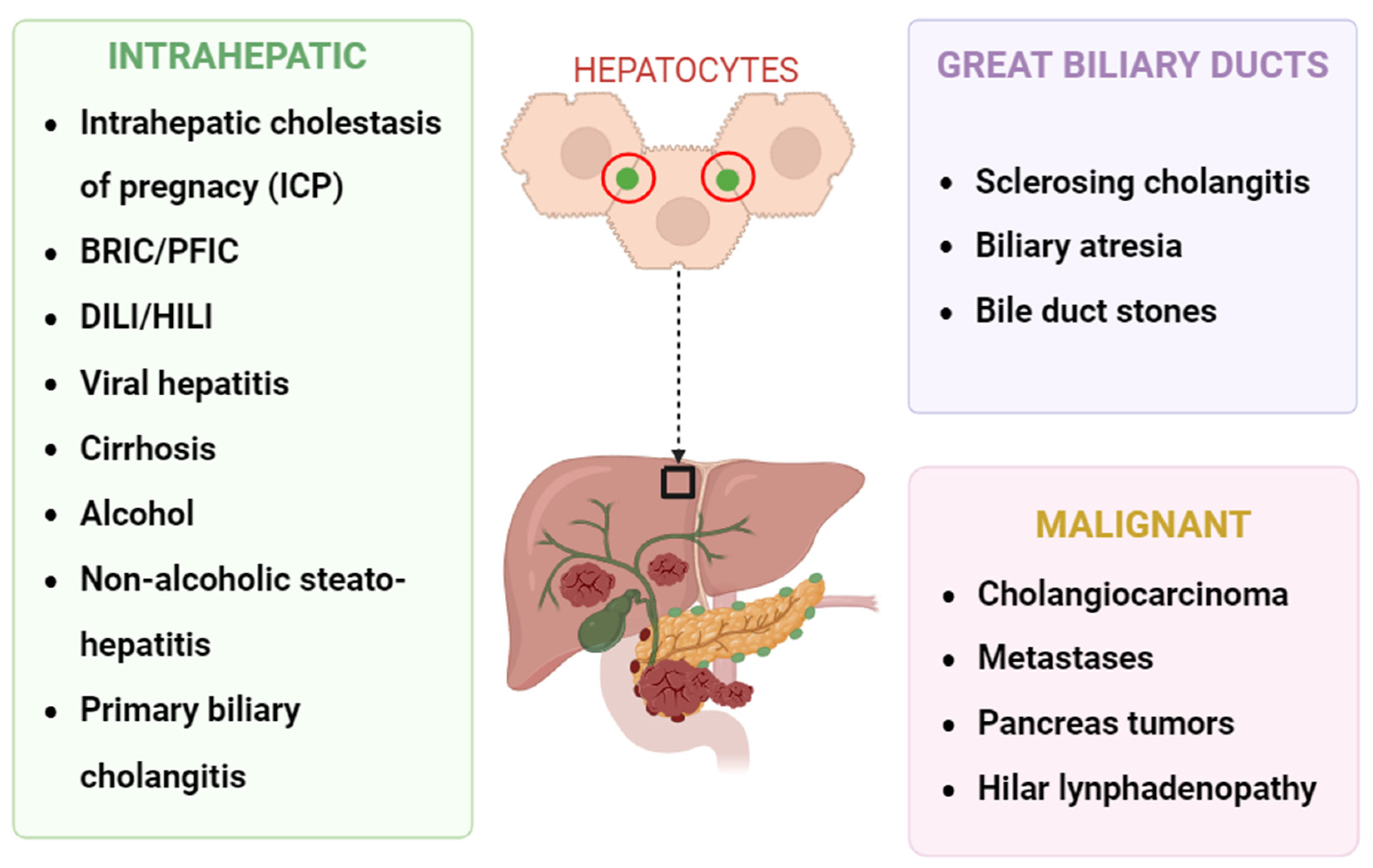 Biomolecules 14 01227 g002 Biomolecules 14 01227 g002
