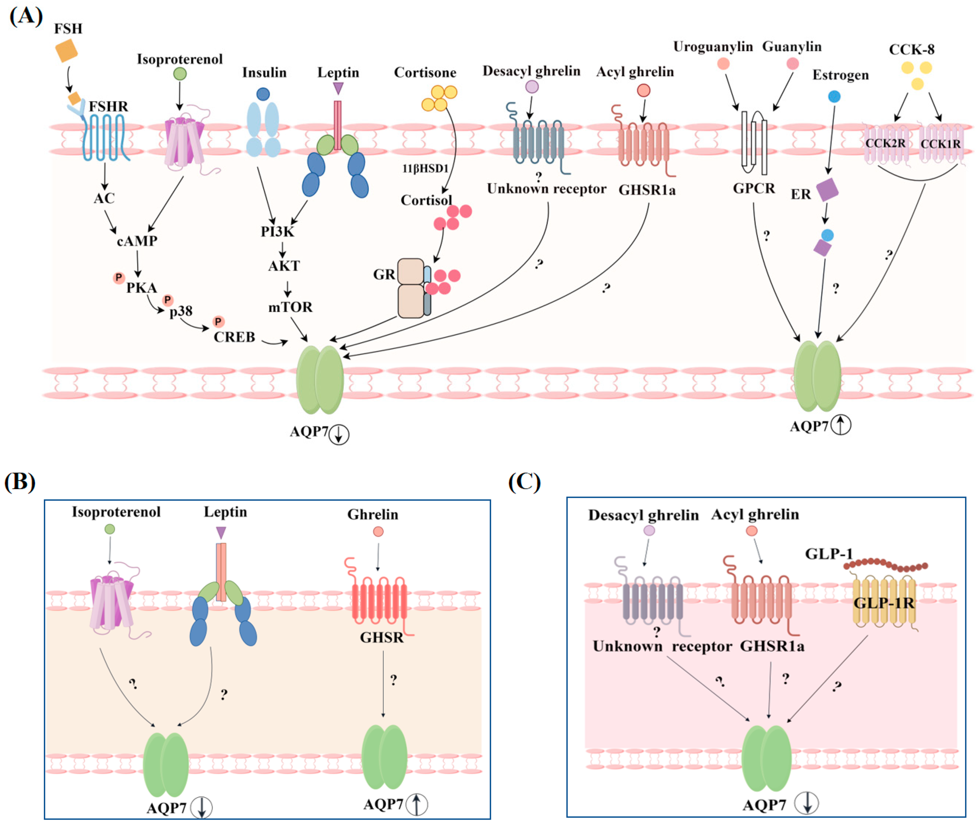 Biomolecules 14 01228 g005 Biomolecules 14 01228 g005
