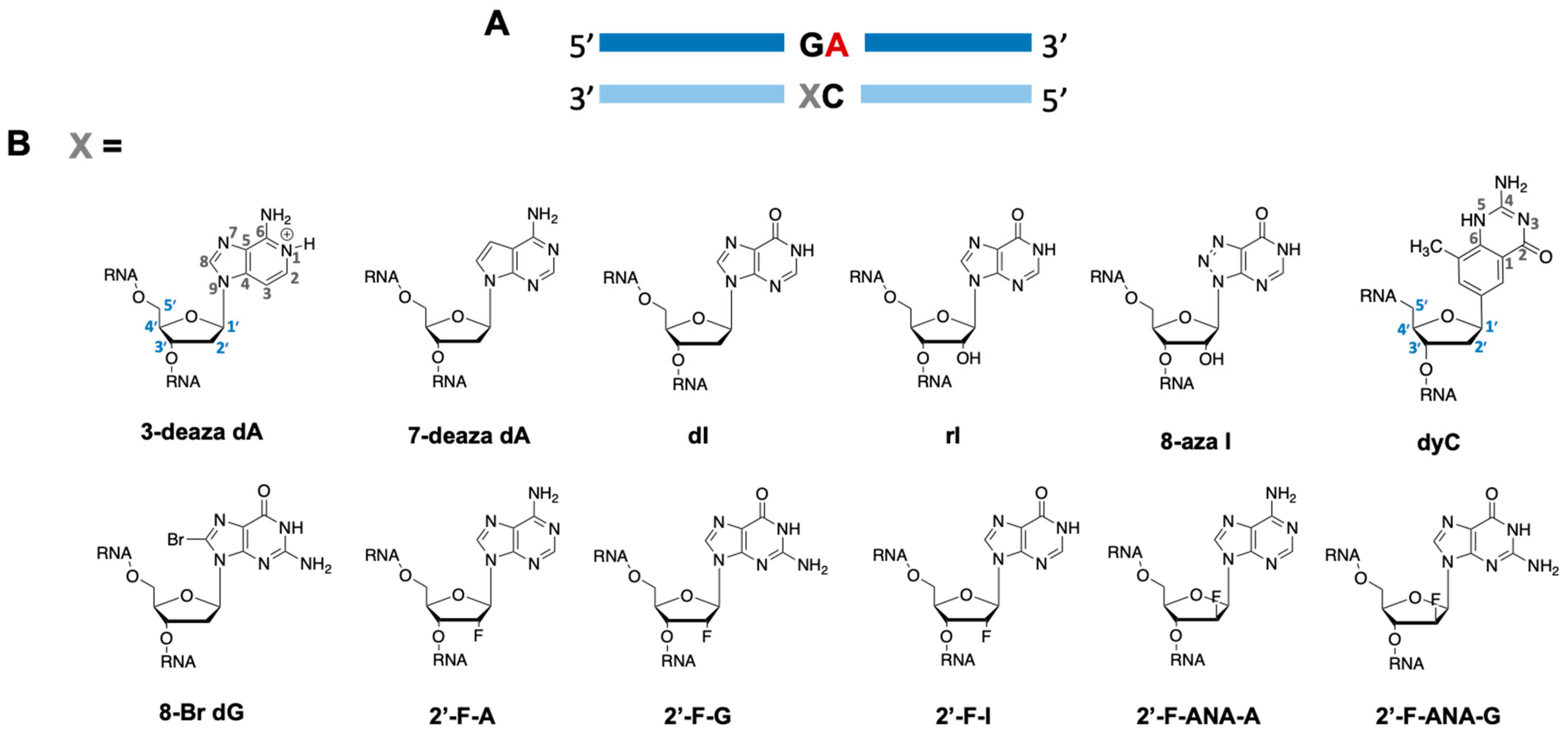 Biomolecules 14 01229 g002 Biomolecules 14 01229 g002