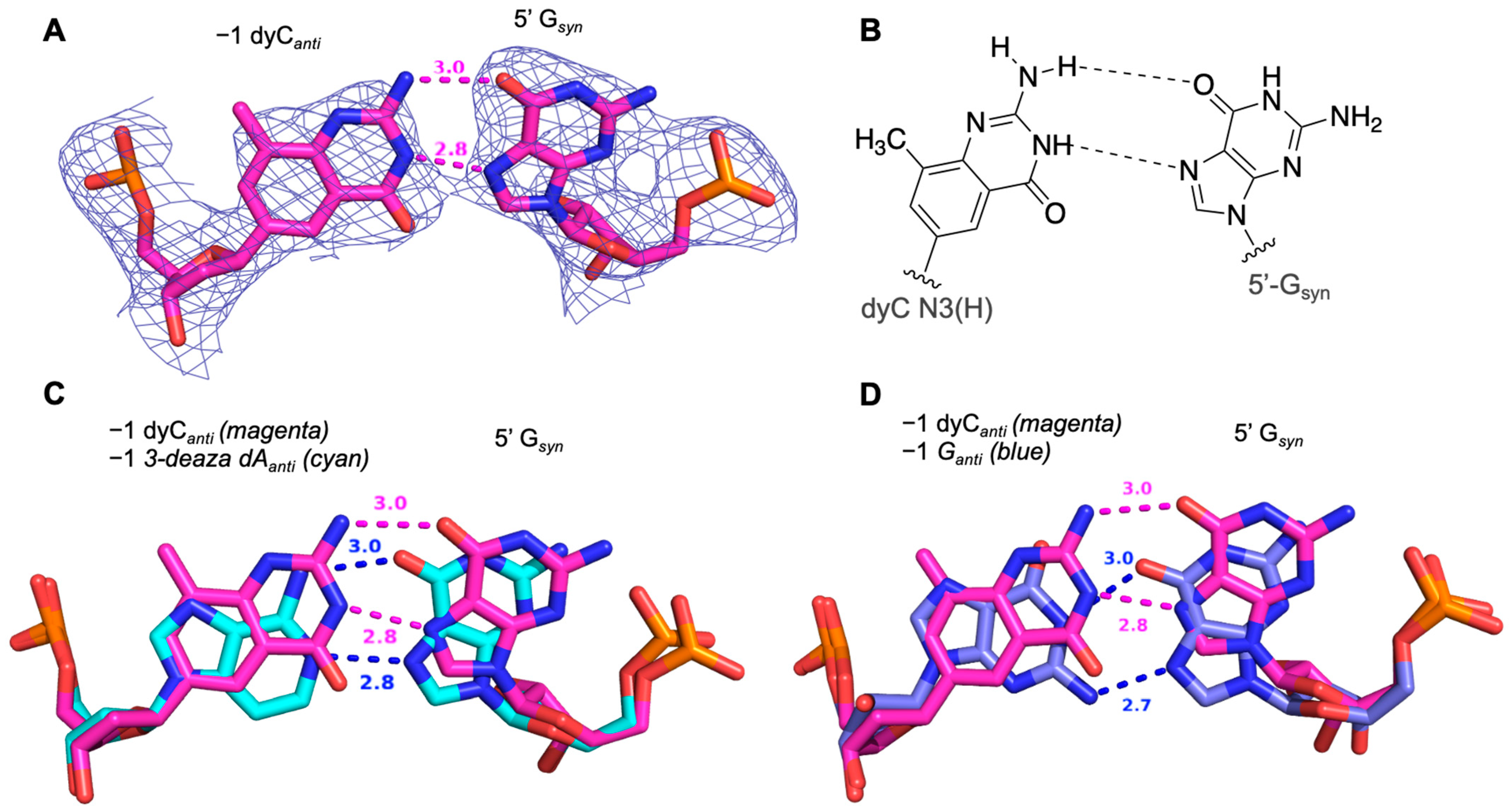 Biomolecules 14 01229 g007 Biomolecules 14 01229 g007