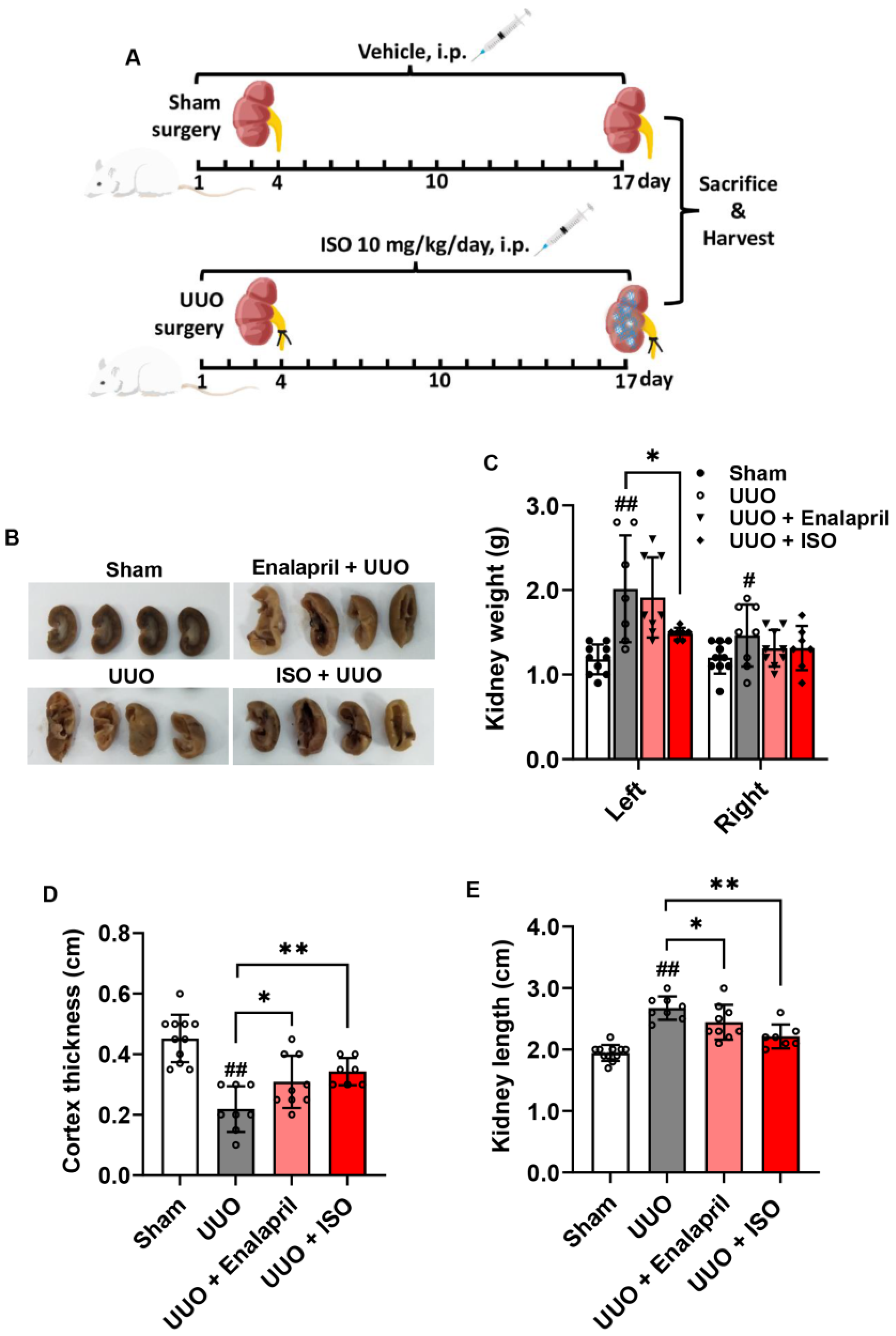 Biomolecules 14 01233 g001