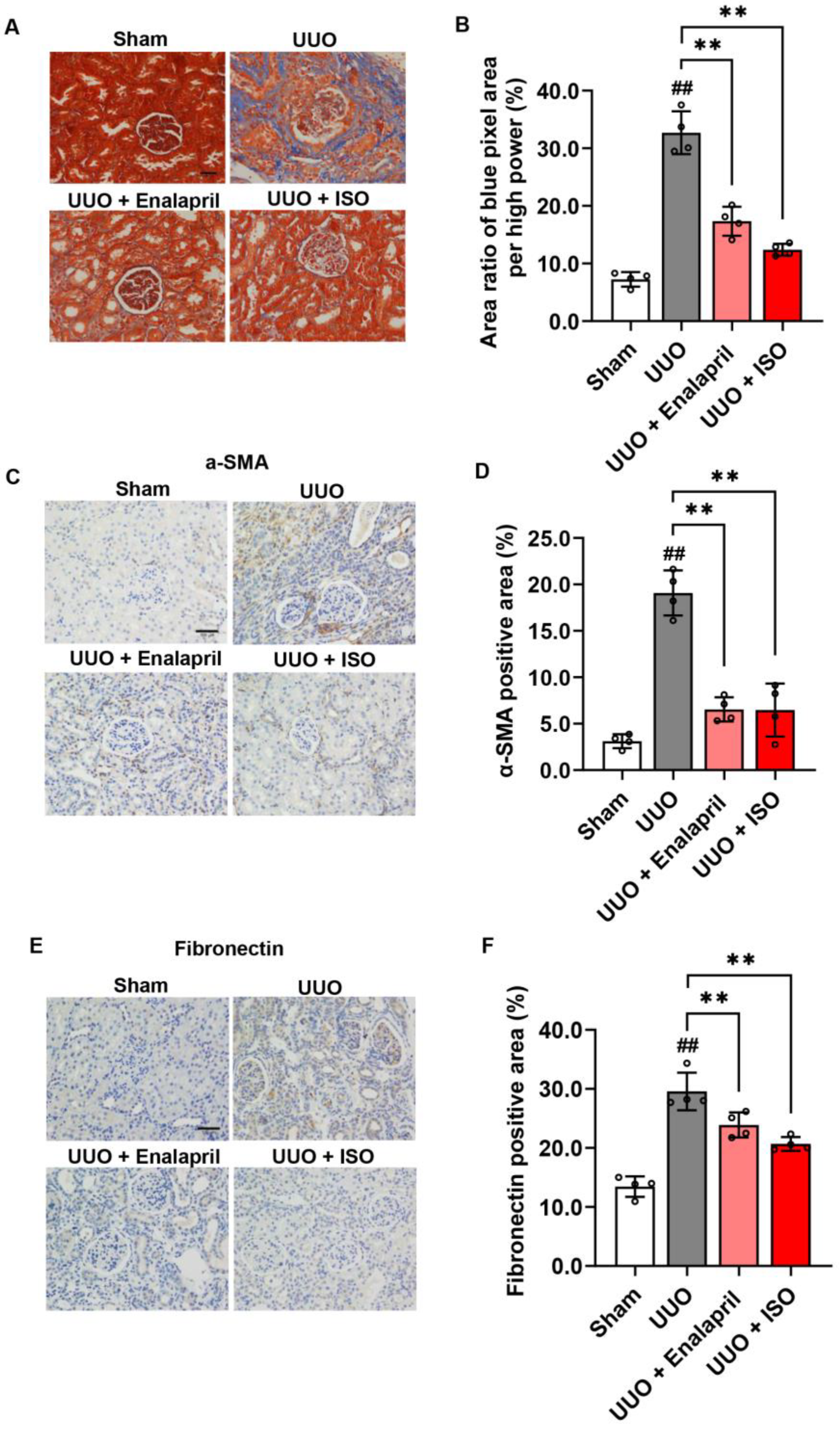 Biomolecules 14 01233 g002