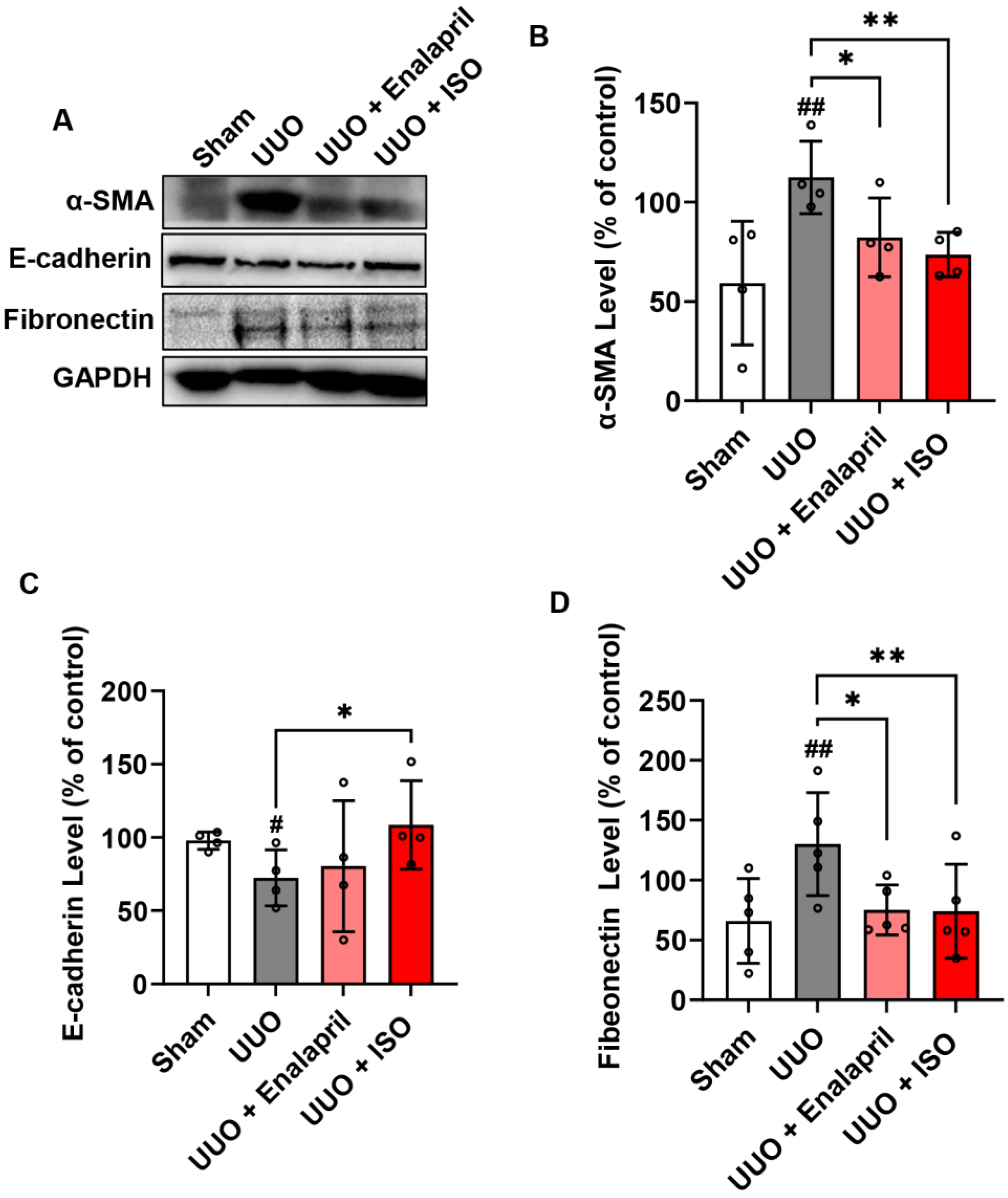 Biomolecules 14 01233 g003