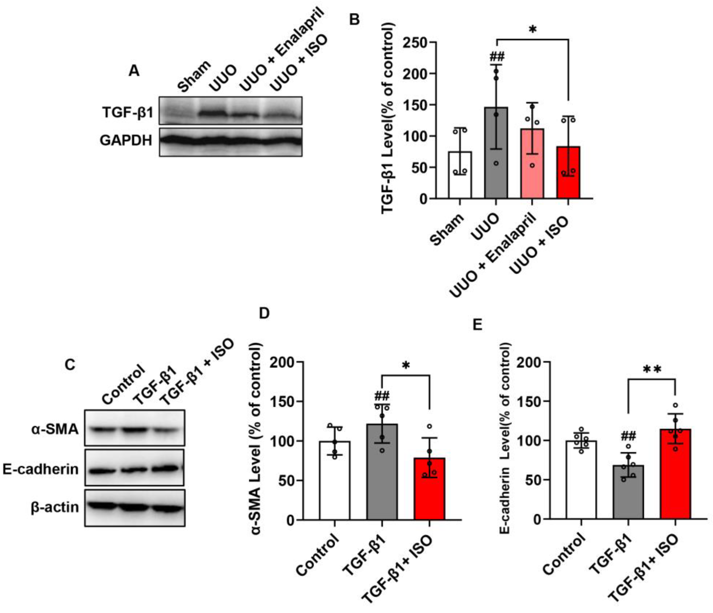Biomolecules 14 01233 g004