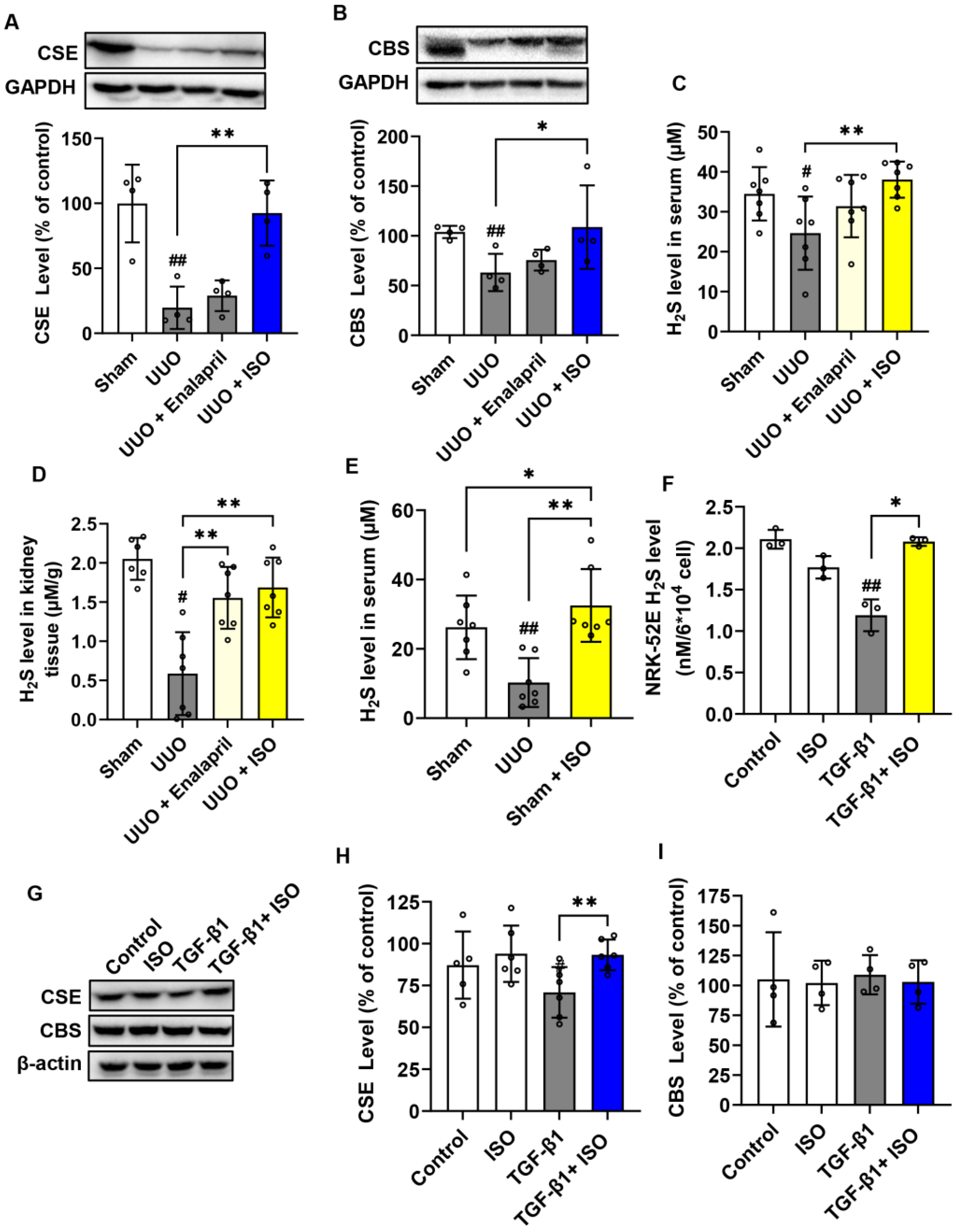 Biomolecules 14 01233 g005