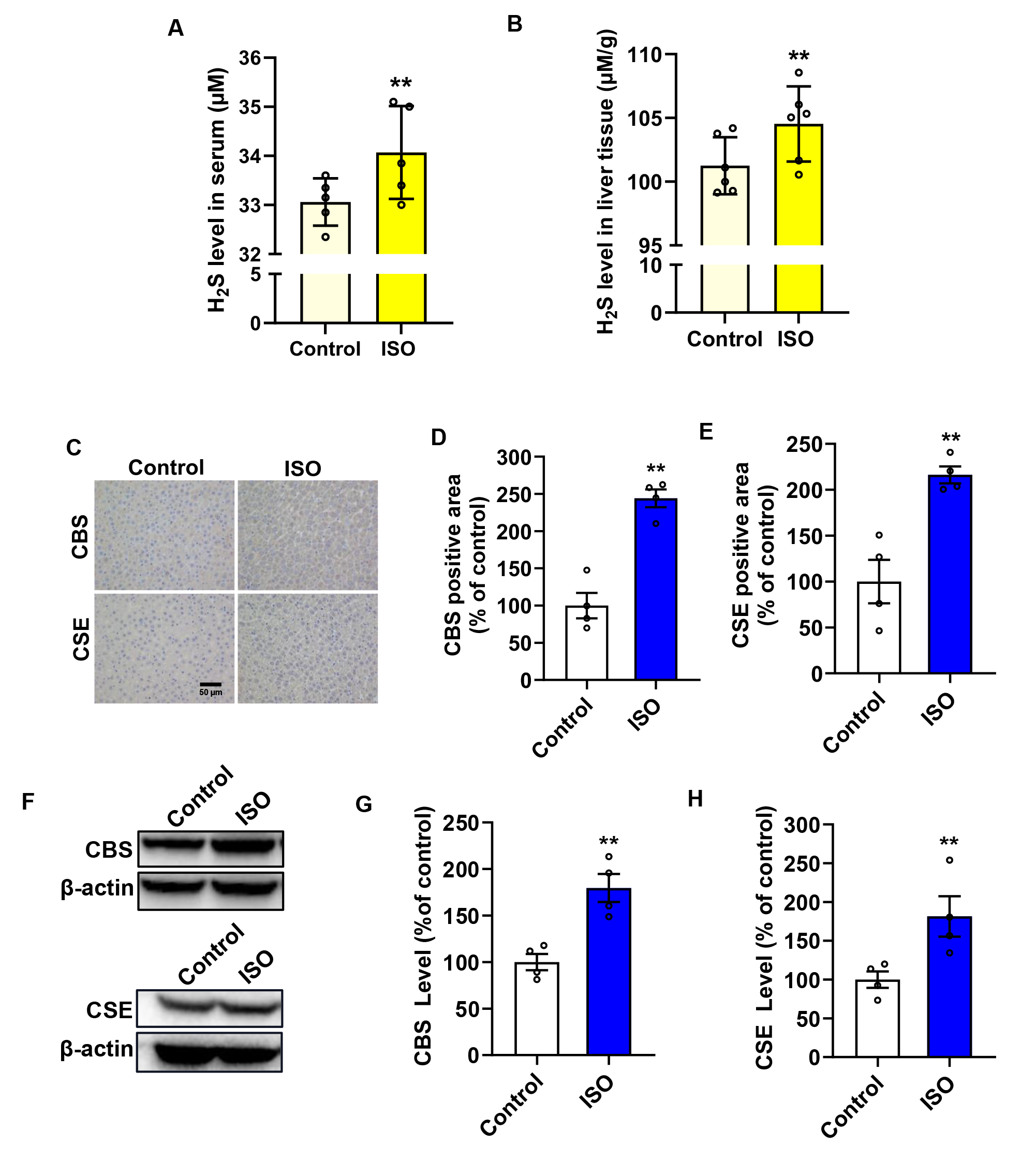 Biomolecules 14 01233 g006
