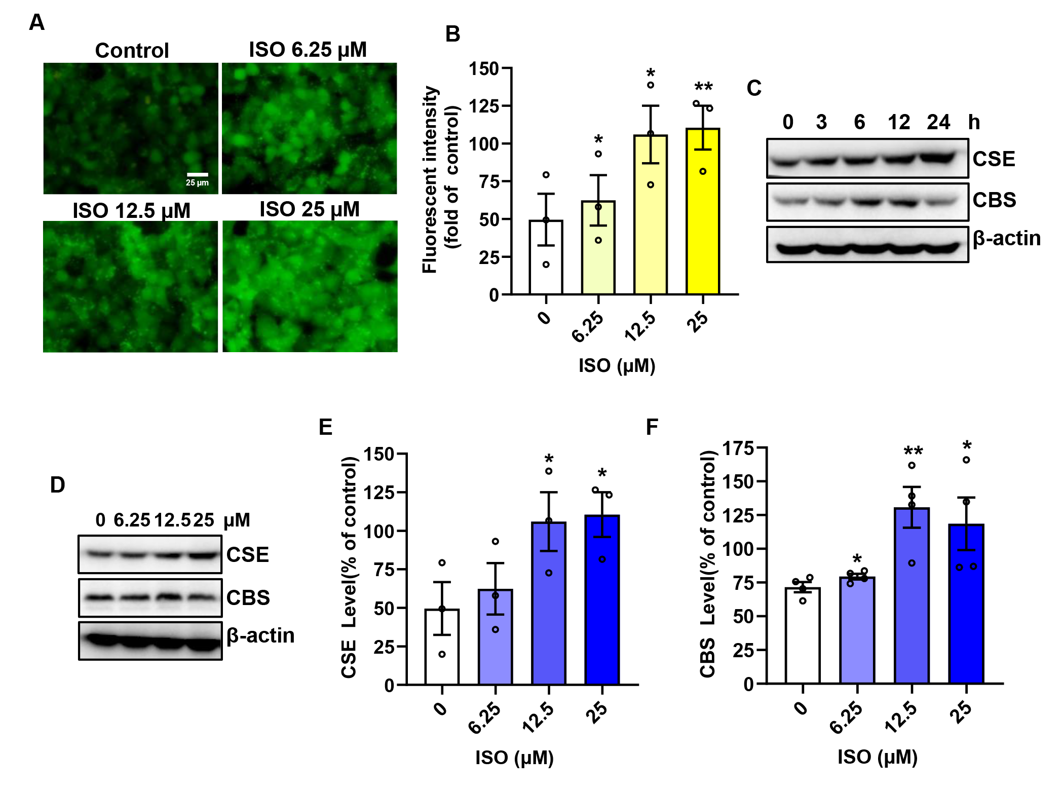 Biomolecules 14 01233 g007
