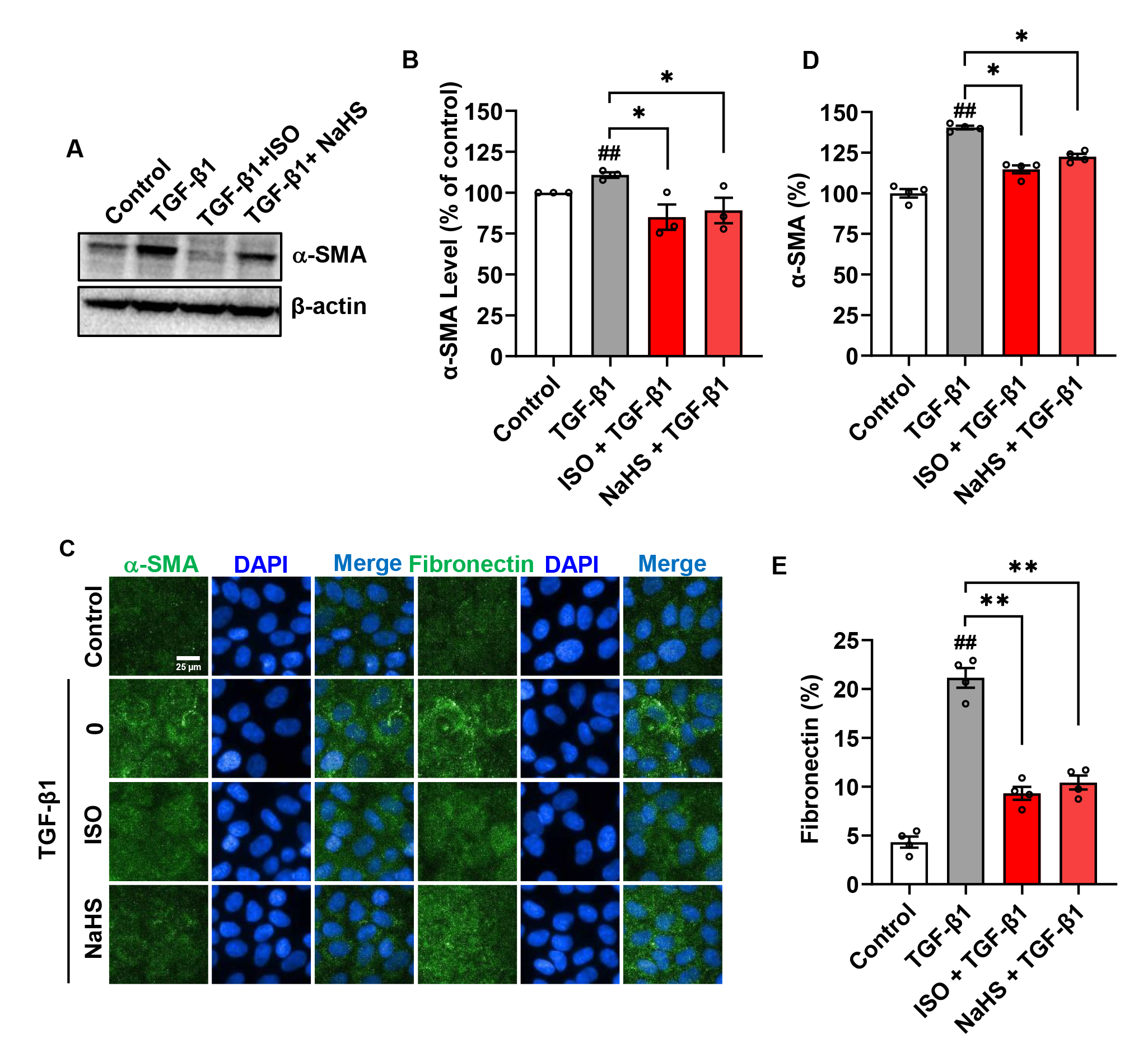 Biomolecules 14 01233 g008
