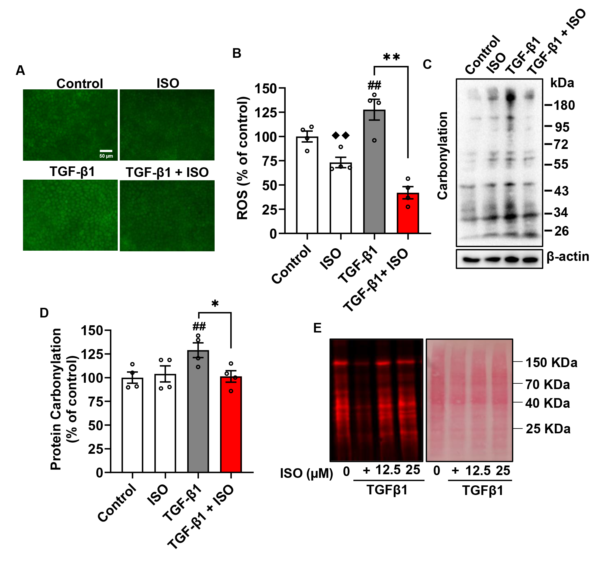 Biomolecules 14 01233 g009