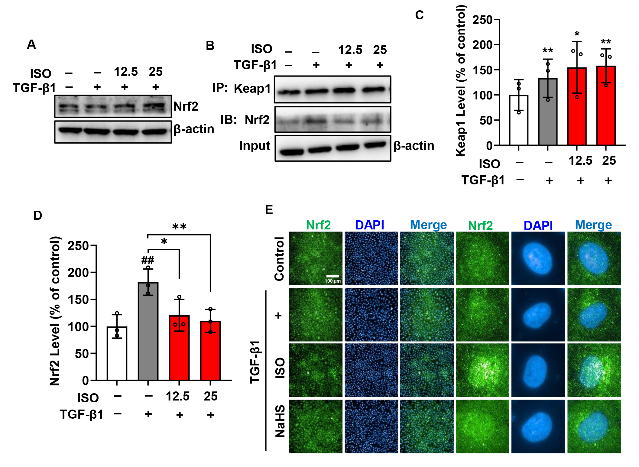 Biomolecules 14 01233 g010