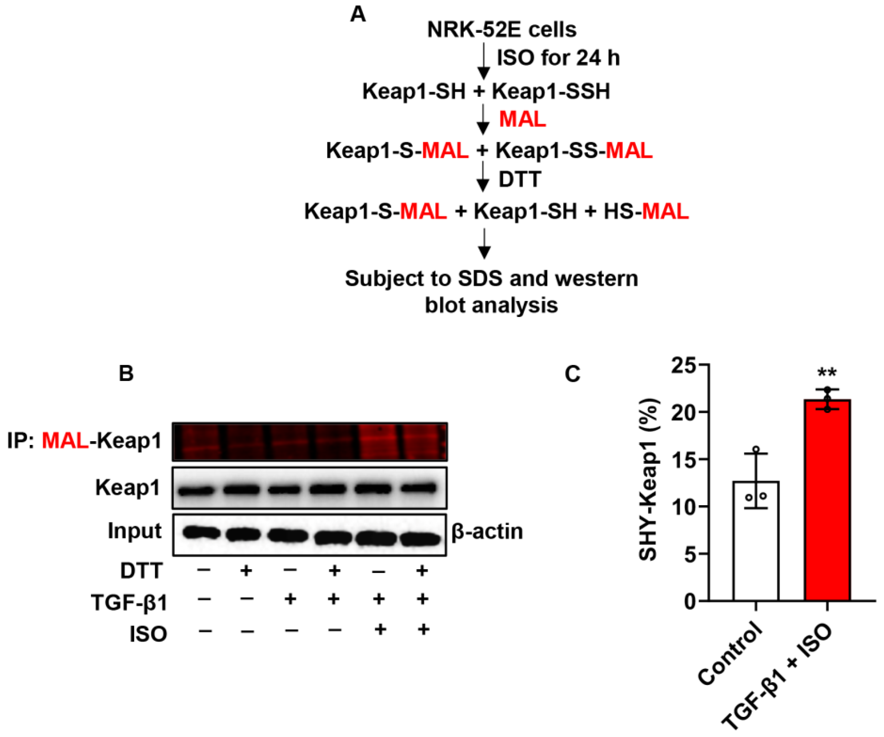 Biomolecules 14 01233 g011