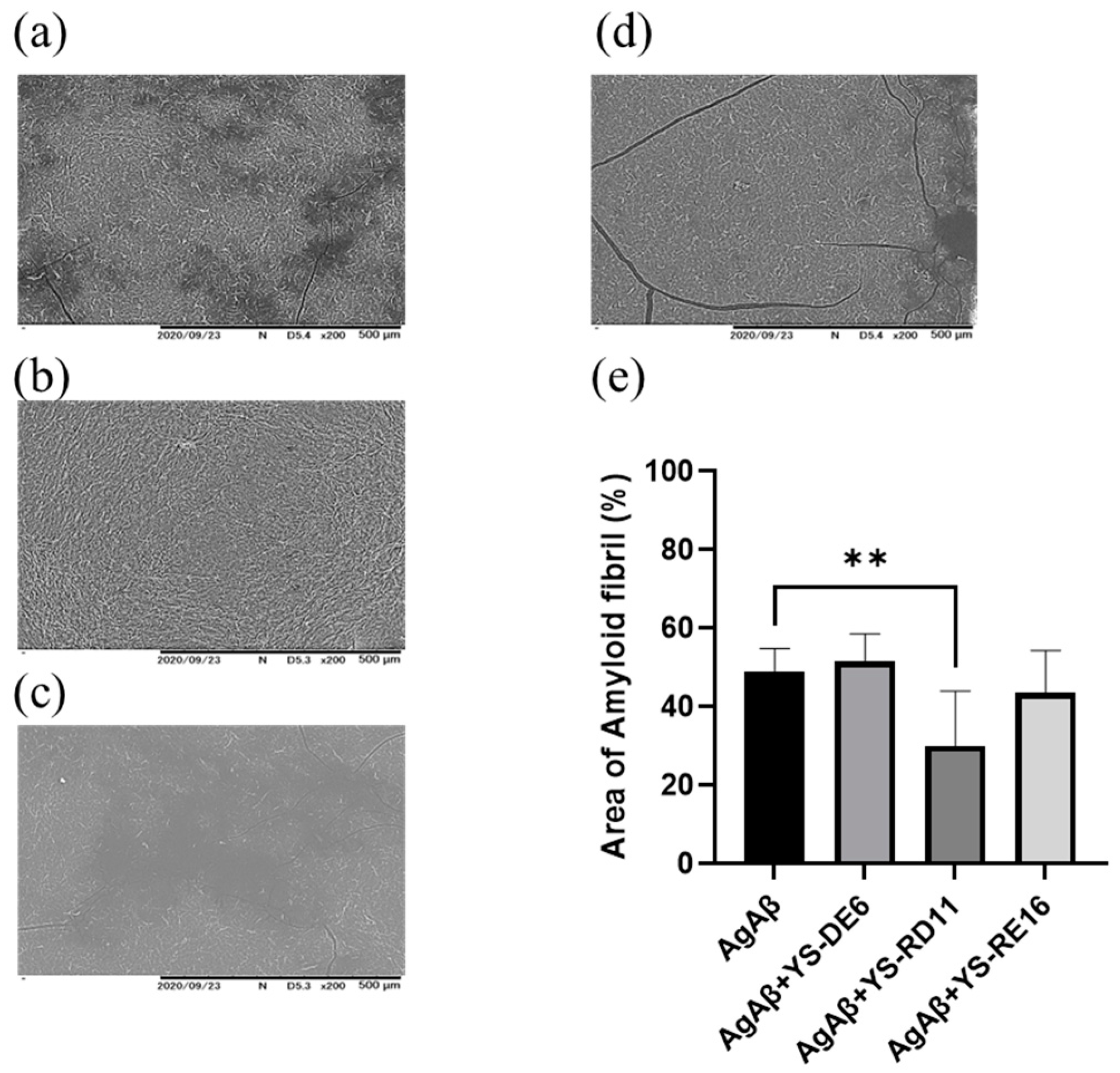 Biomolecules 14 01234 g005