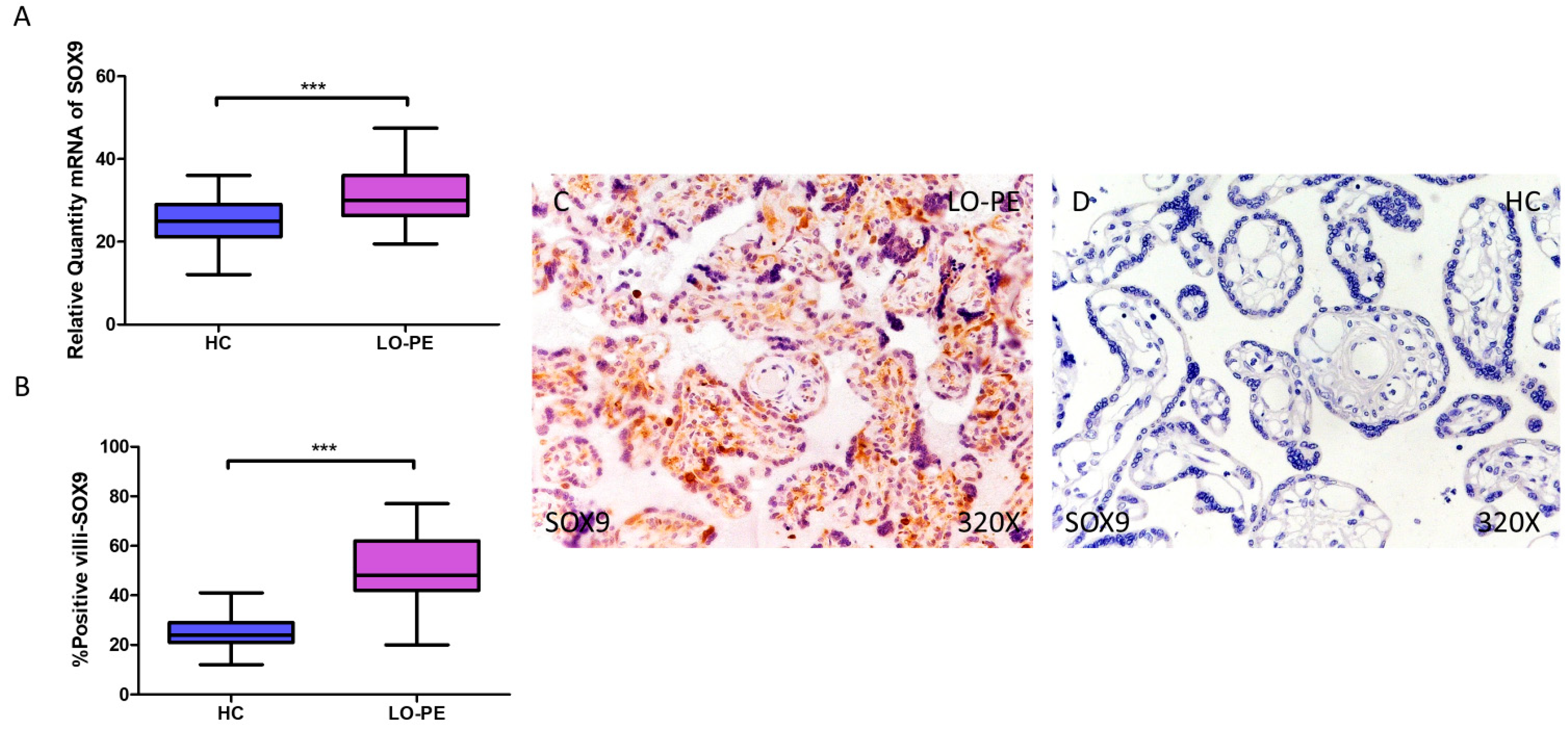 Biomolecules 14 01237 g007