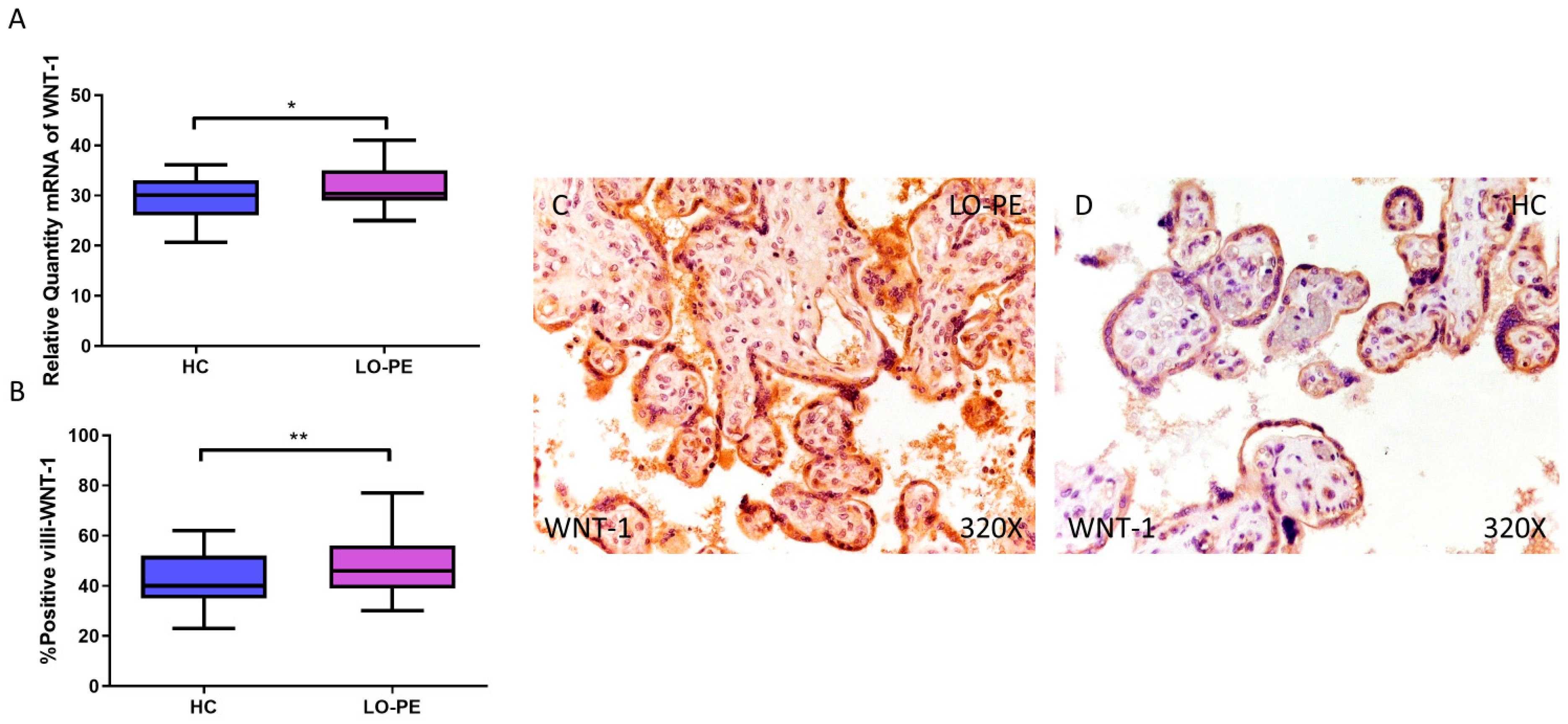 Biomolecules 14 01237 g008