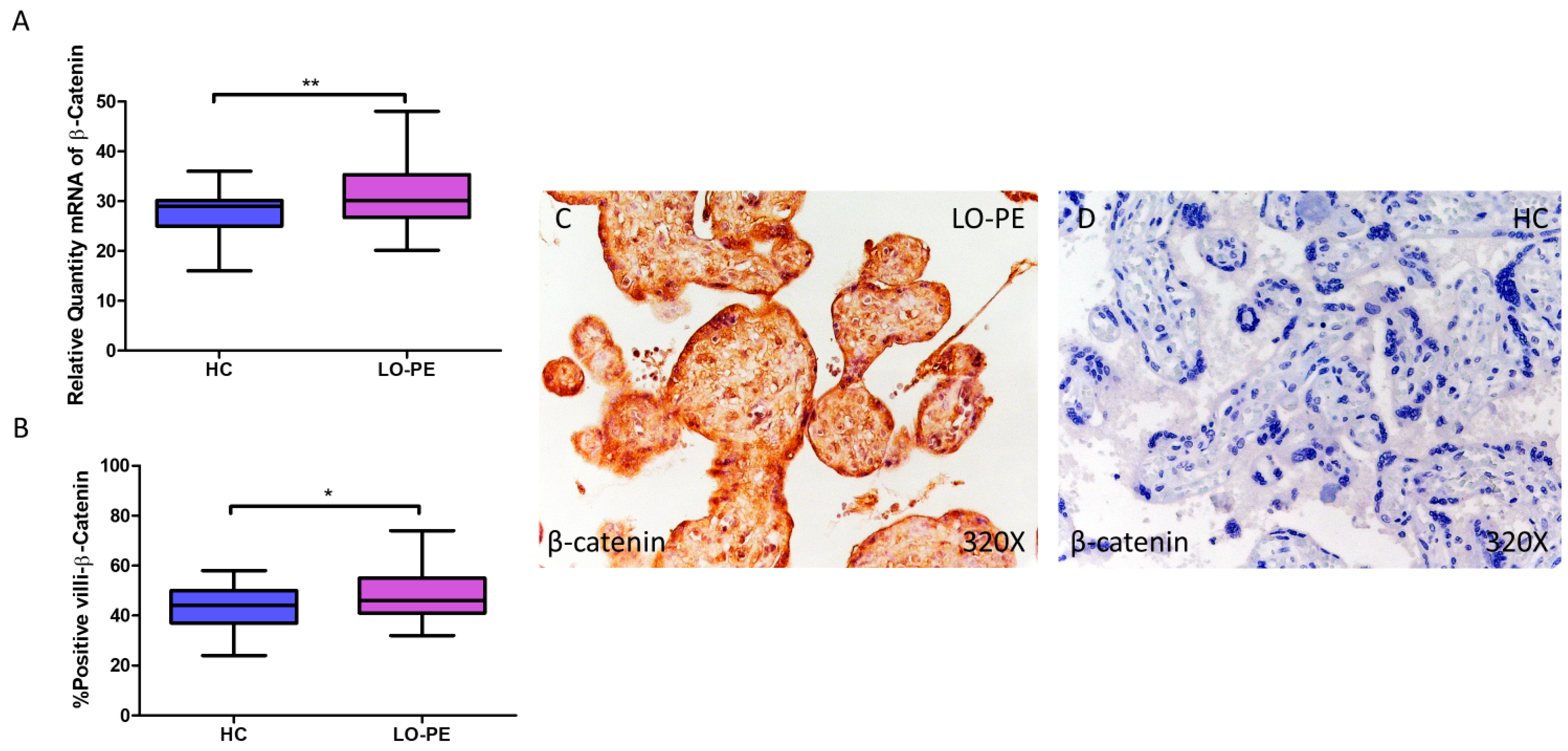 Biomolecules 14 01237 g009