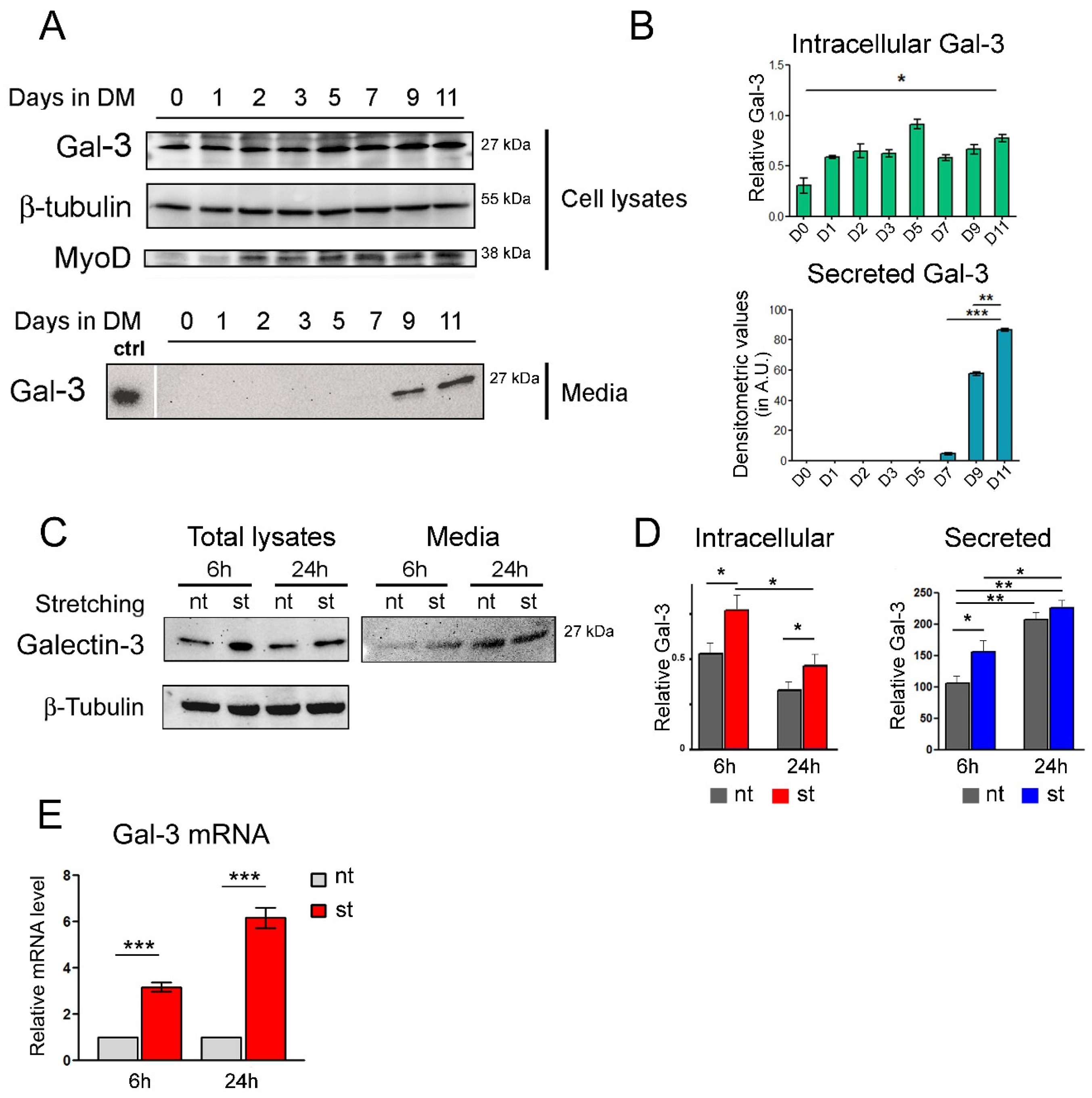 Biomolecules 14 01243 g001
