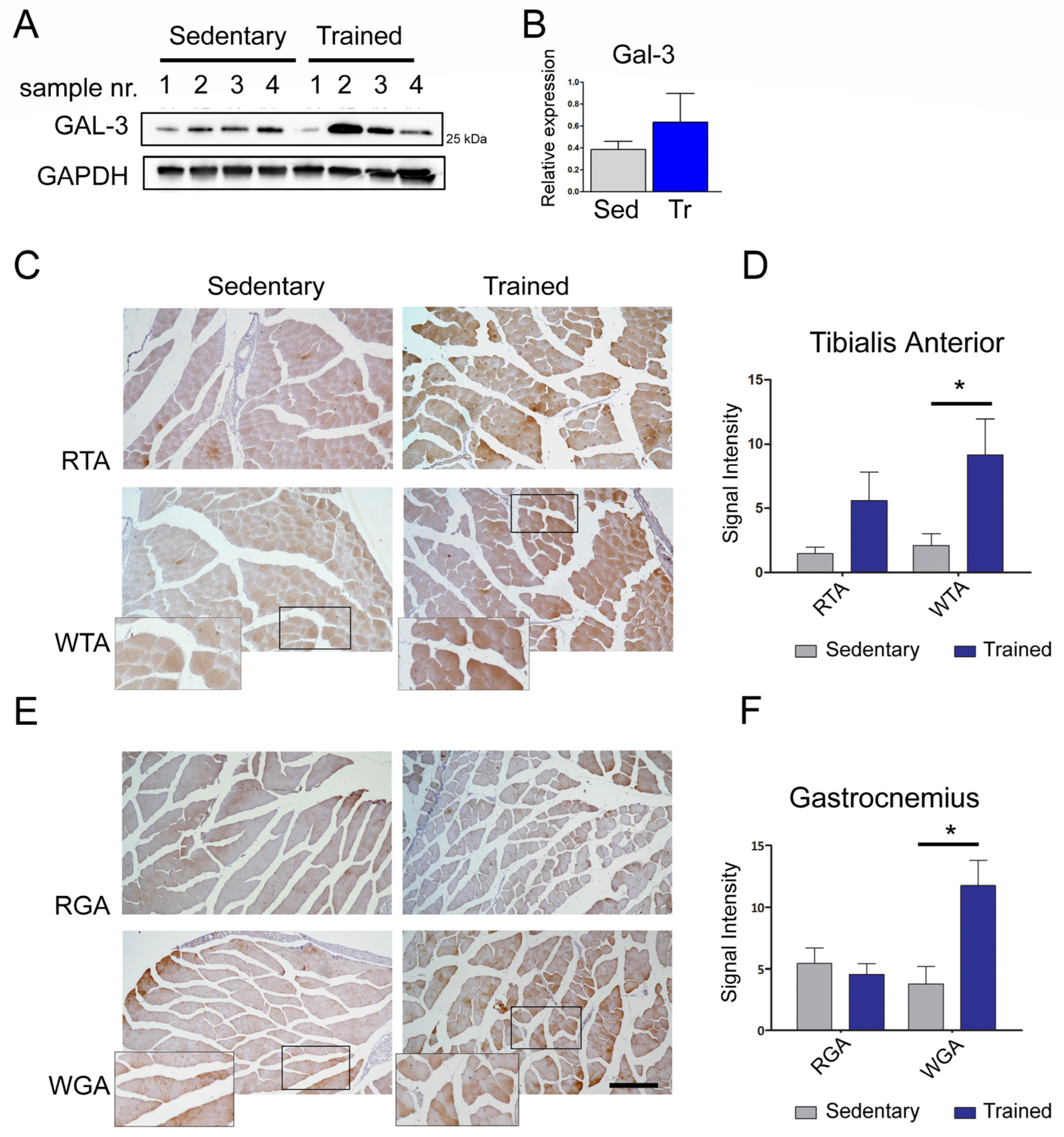Biomolecules 14 01243 g002