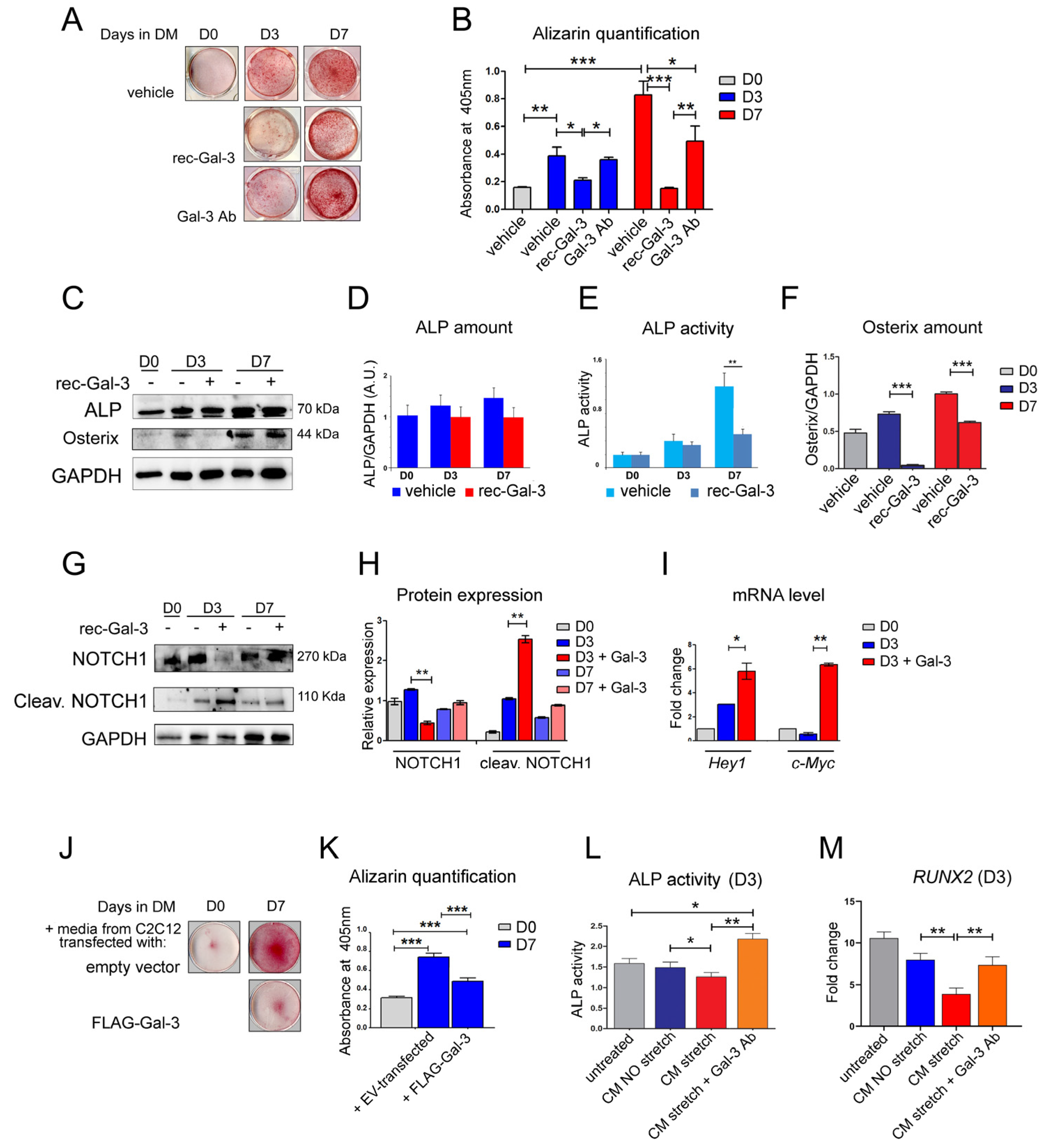 Biomolecules 14 01243 g003