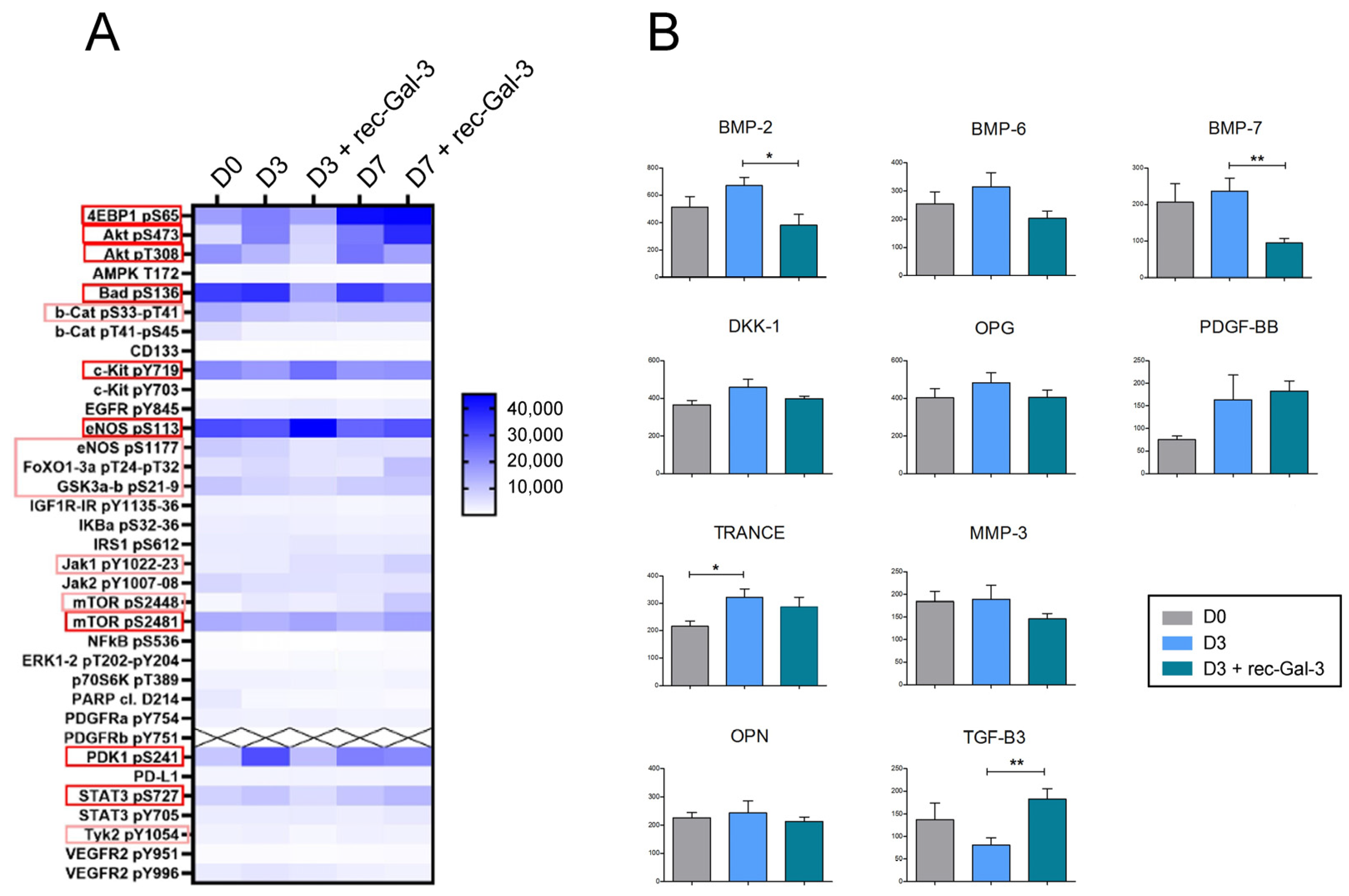 Biomolecules 14 01243 g005