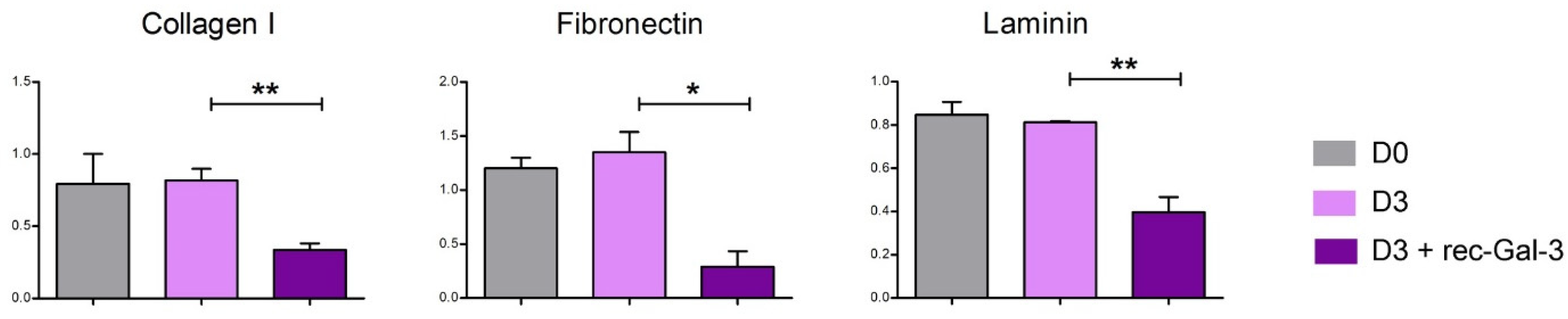 Biomolecules 14 01243 g006