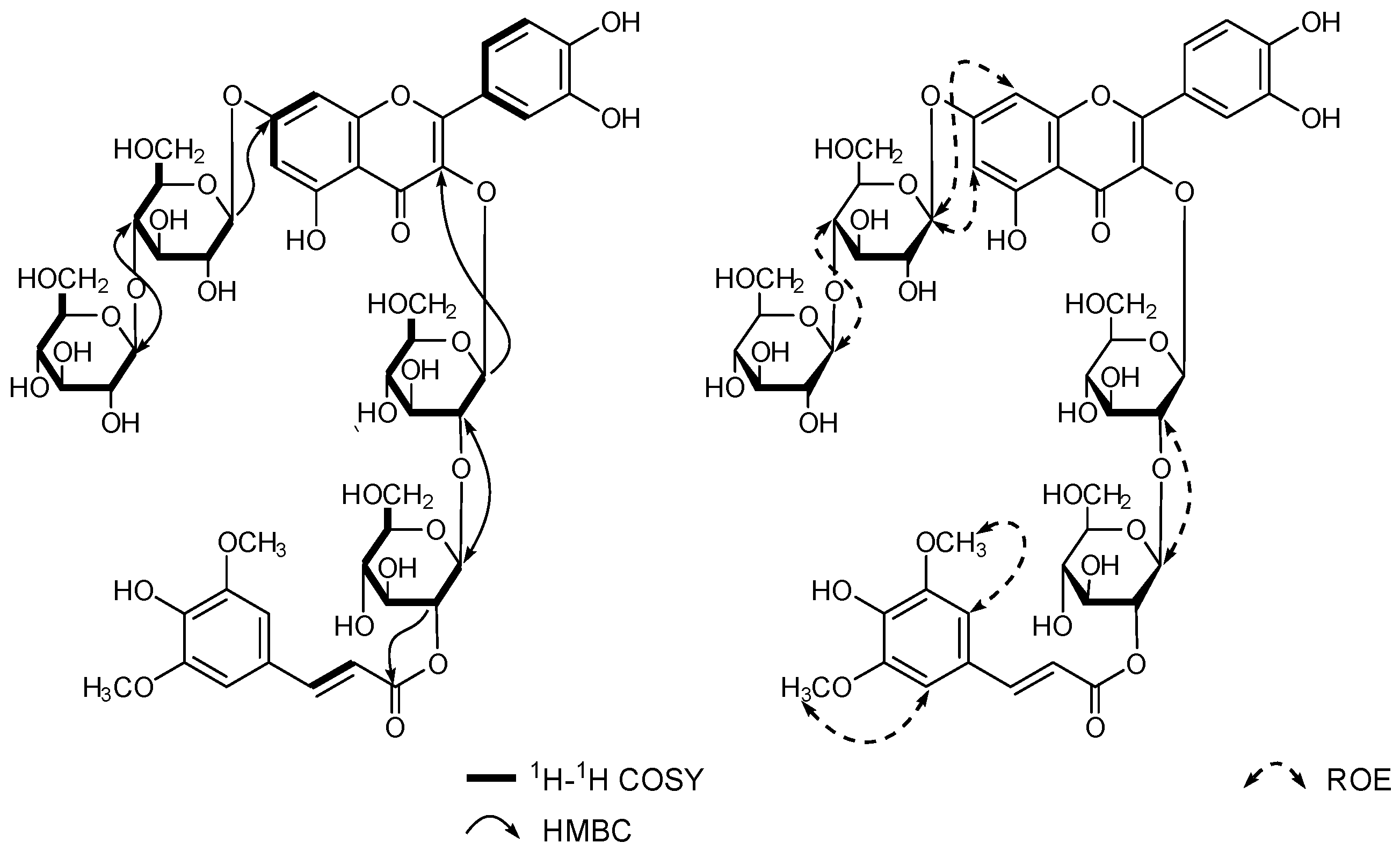 Biomolecules 14 01246 g002 Biomolecules 14 01246 g002