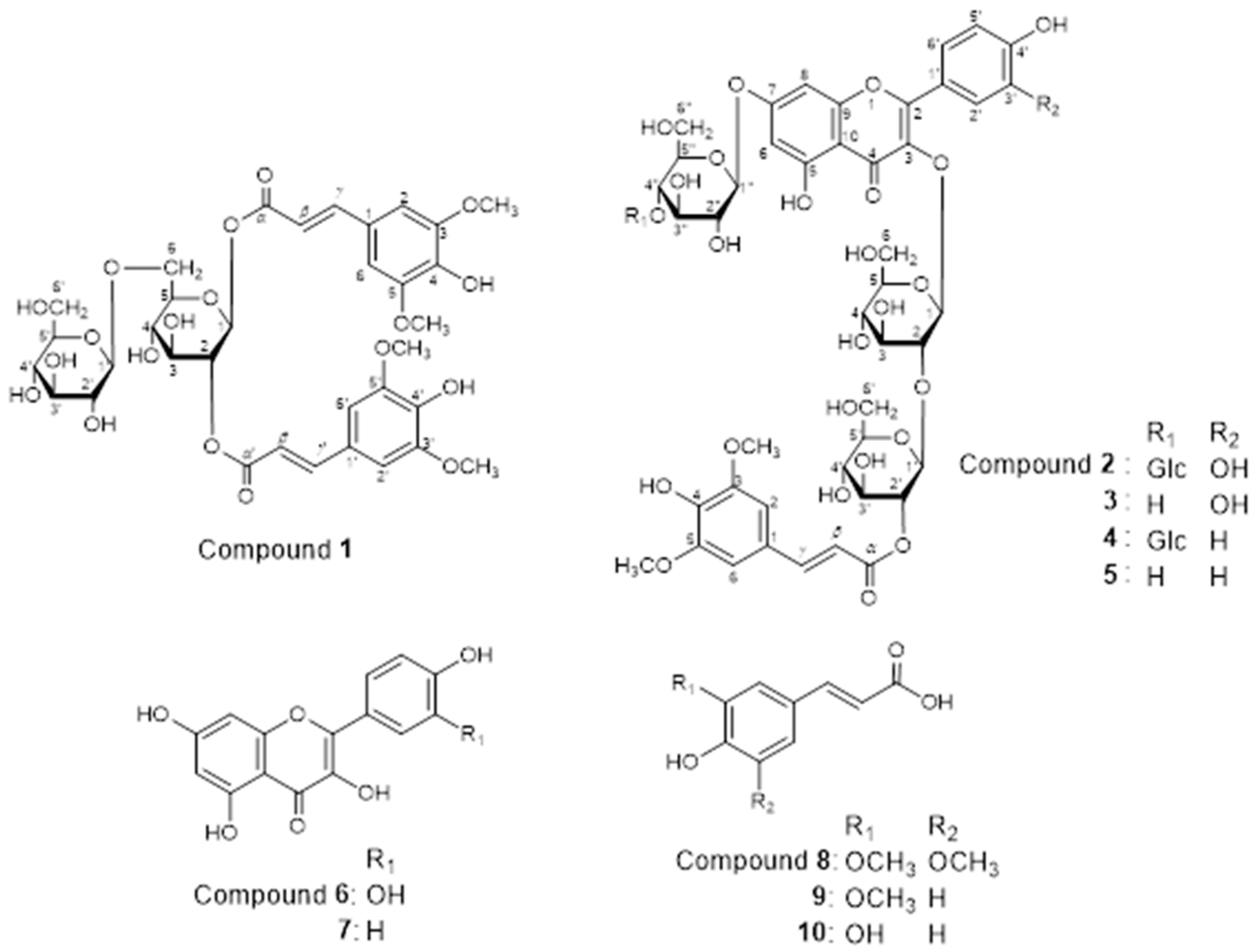 Biomolecules 14 01246 g003 Biomolecules 14 01246 g003