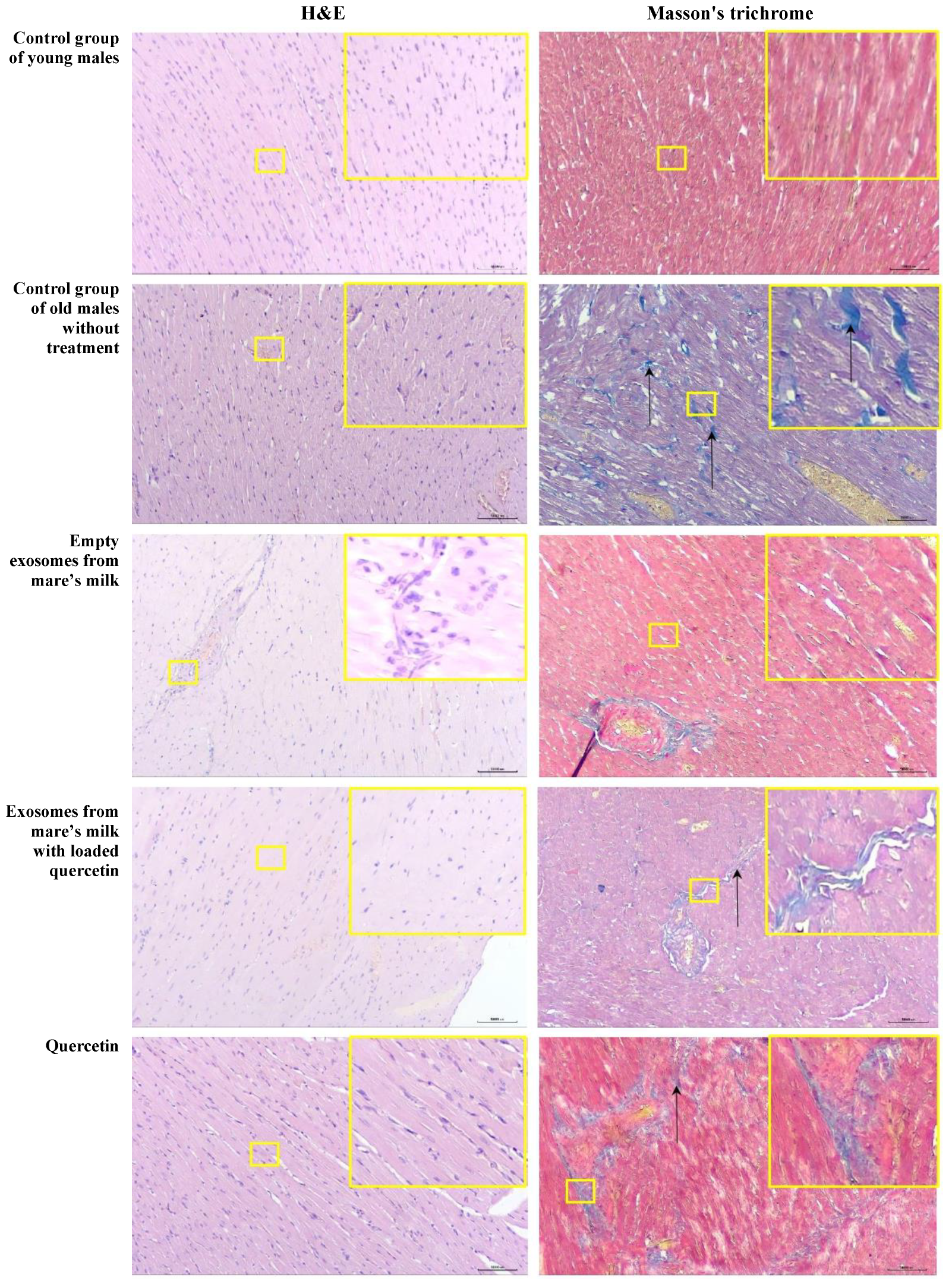 Biomolecules 14 01247 g007