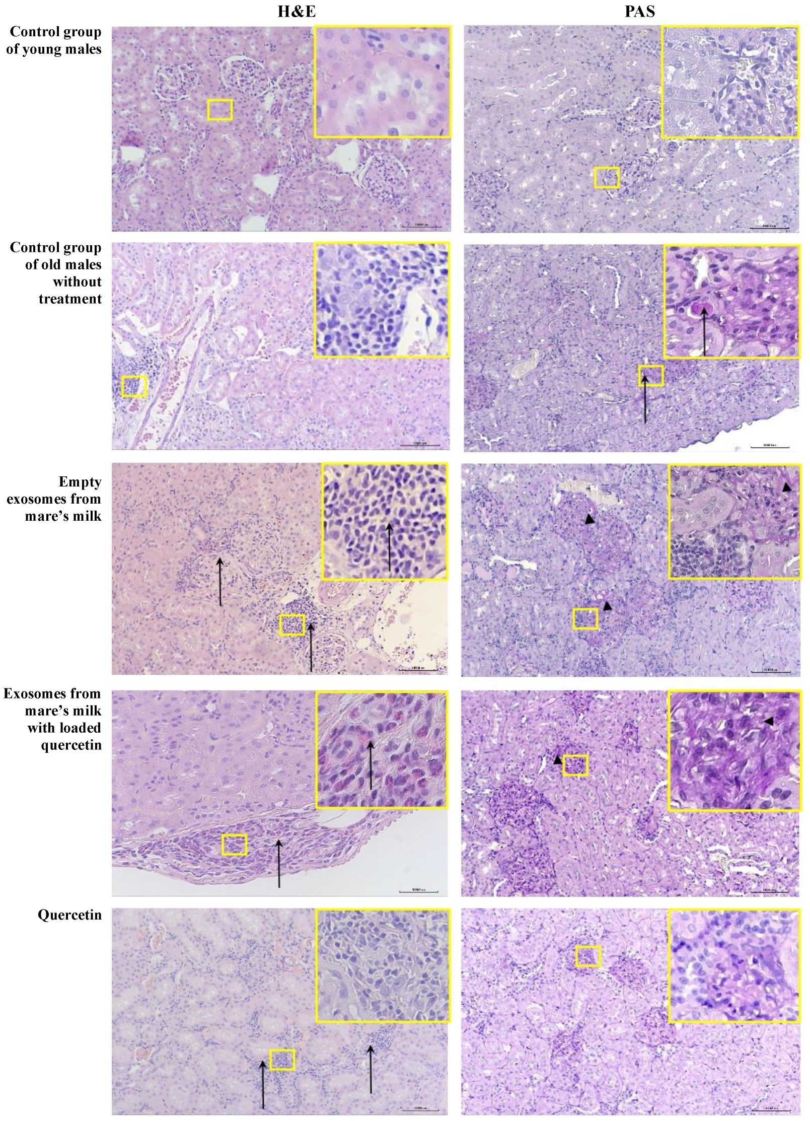 Biomolecules 14 01247 g008