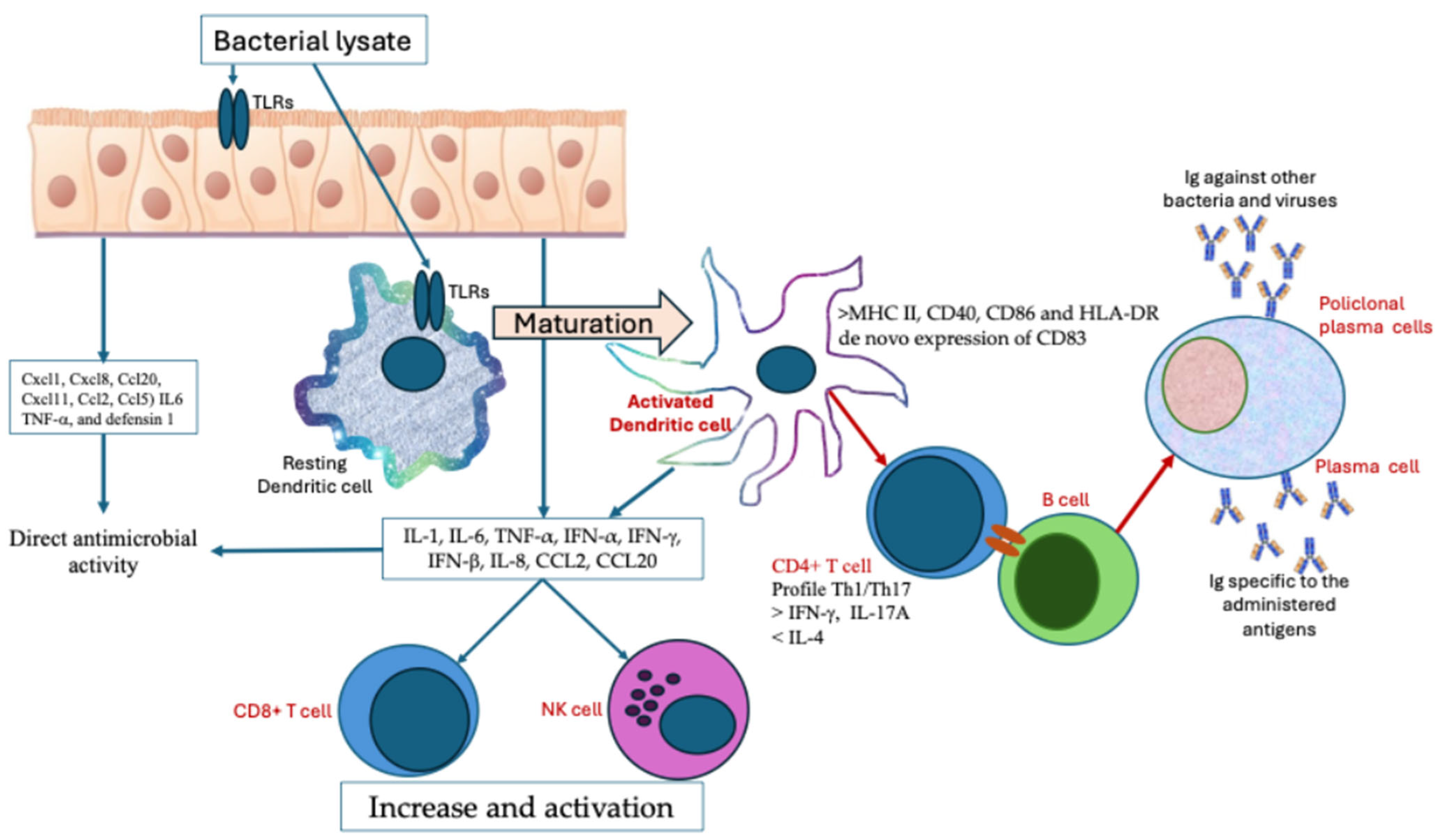 Biomolecules 14 01249 g001