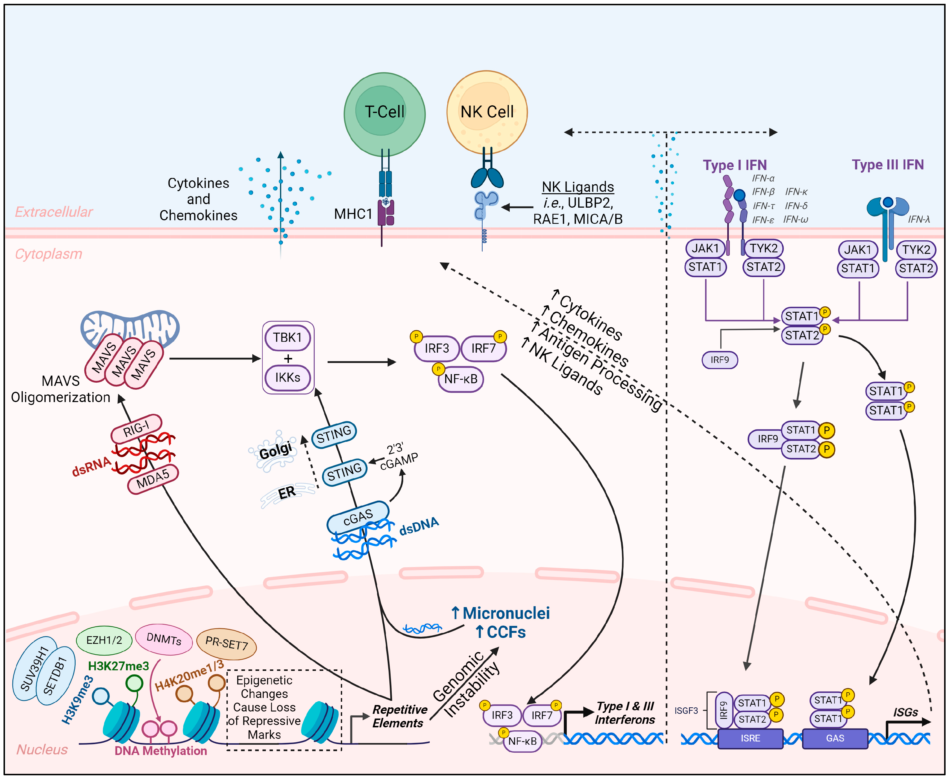 Biomolecules 14 01250 g001 Biomolecules 14 01250 g001