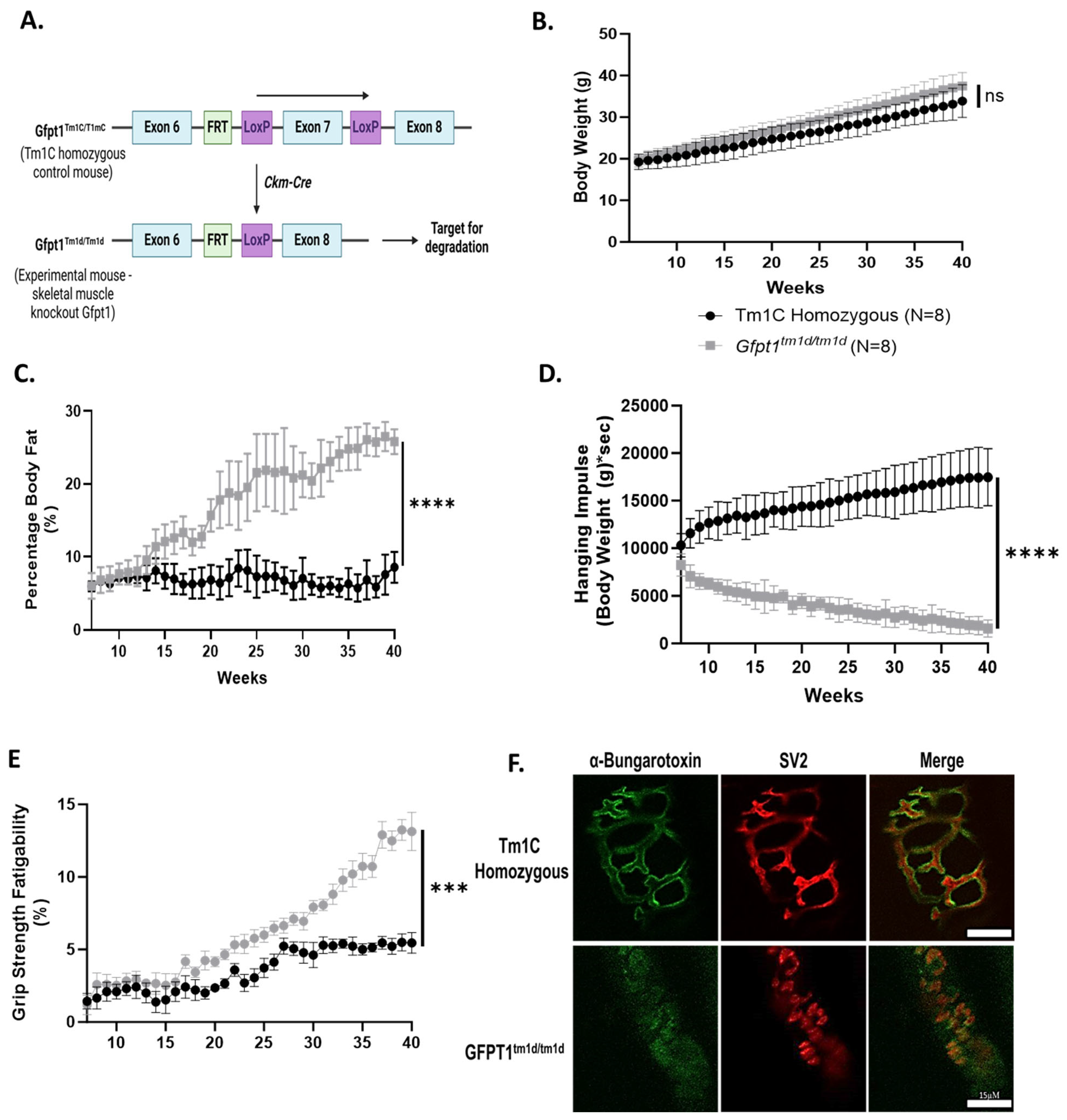 Biomolecules 14 01252 g001