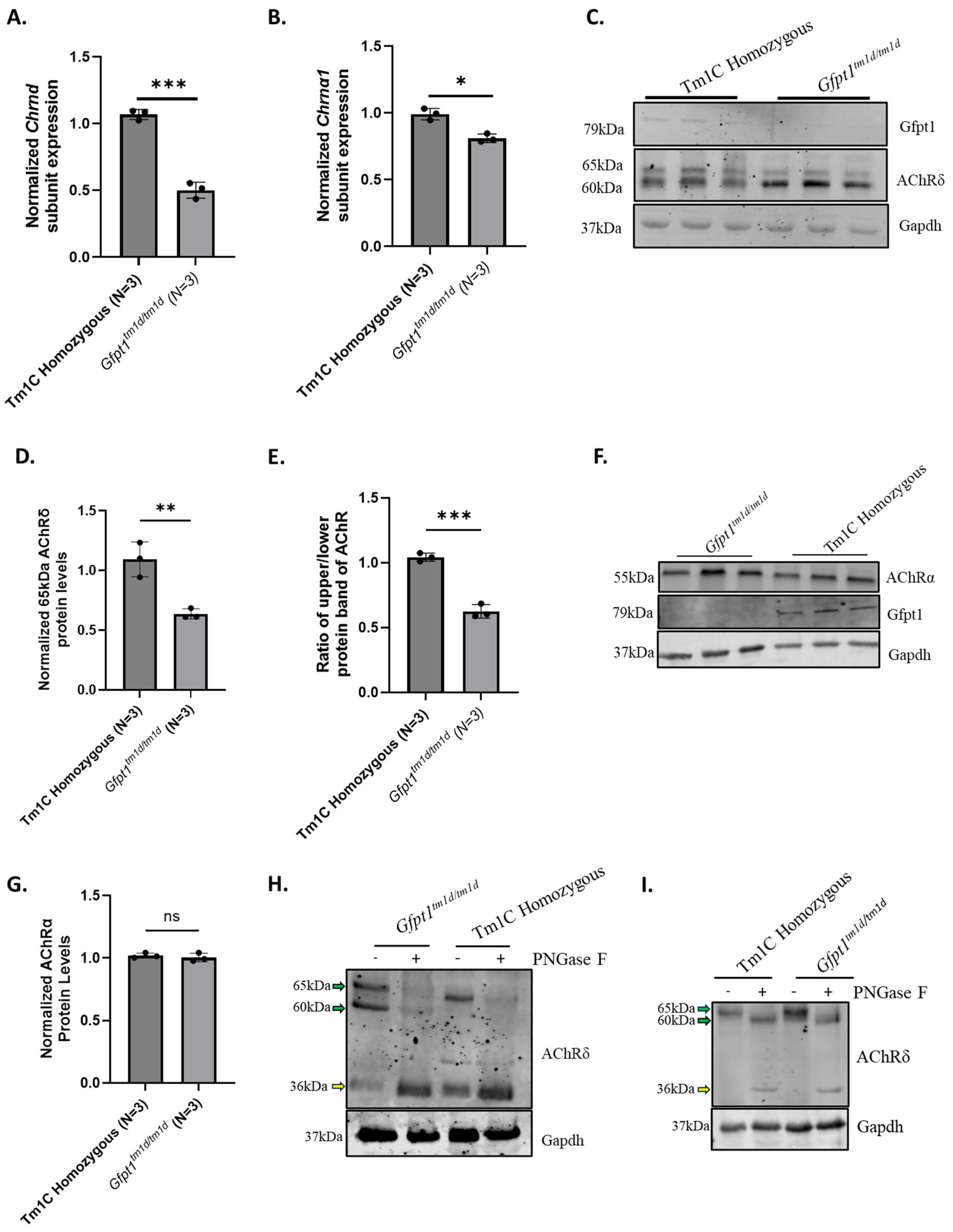Biomolecules 14 01252 g002