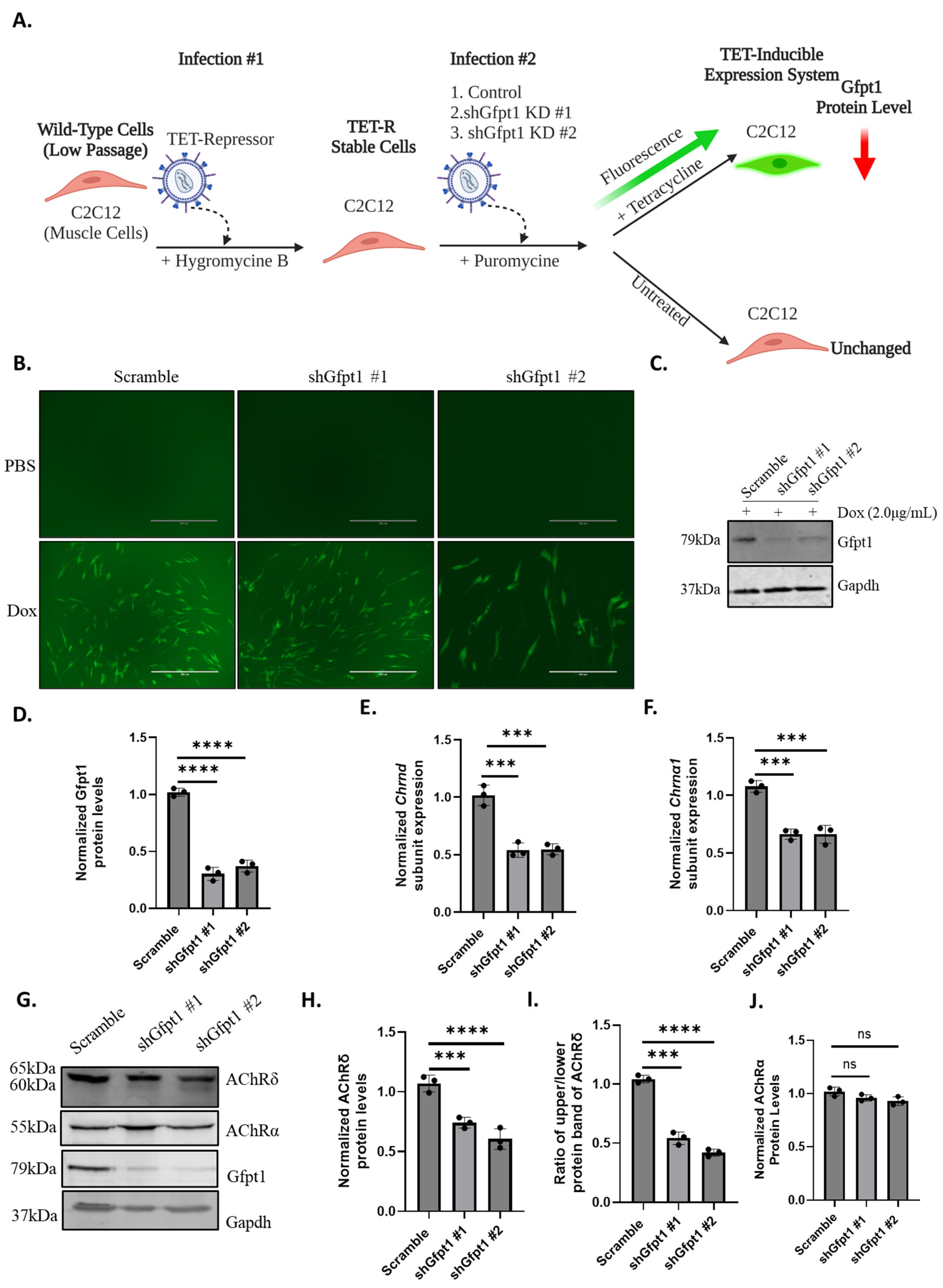 Biomolecules 14 01252 g003