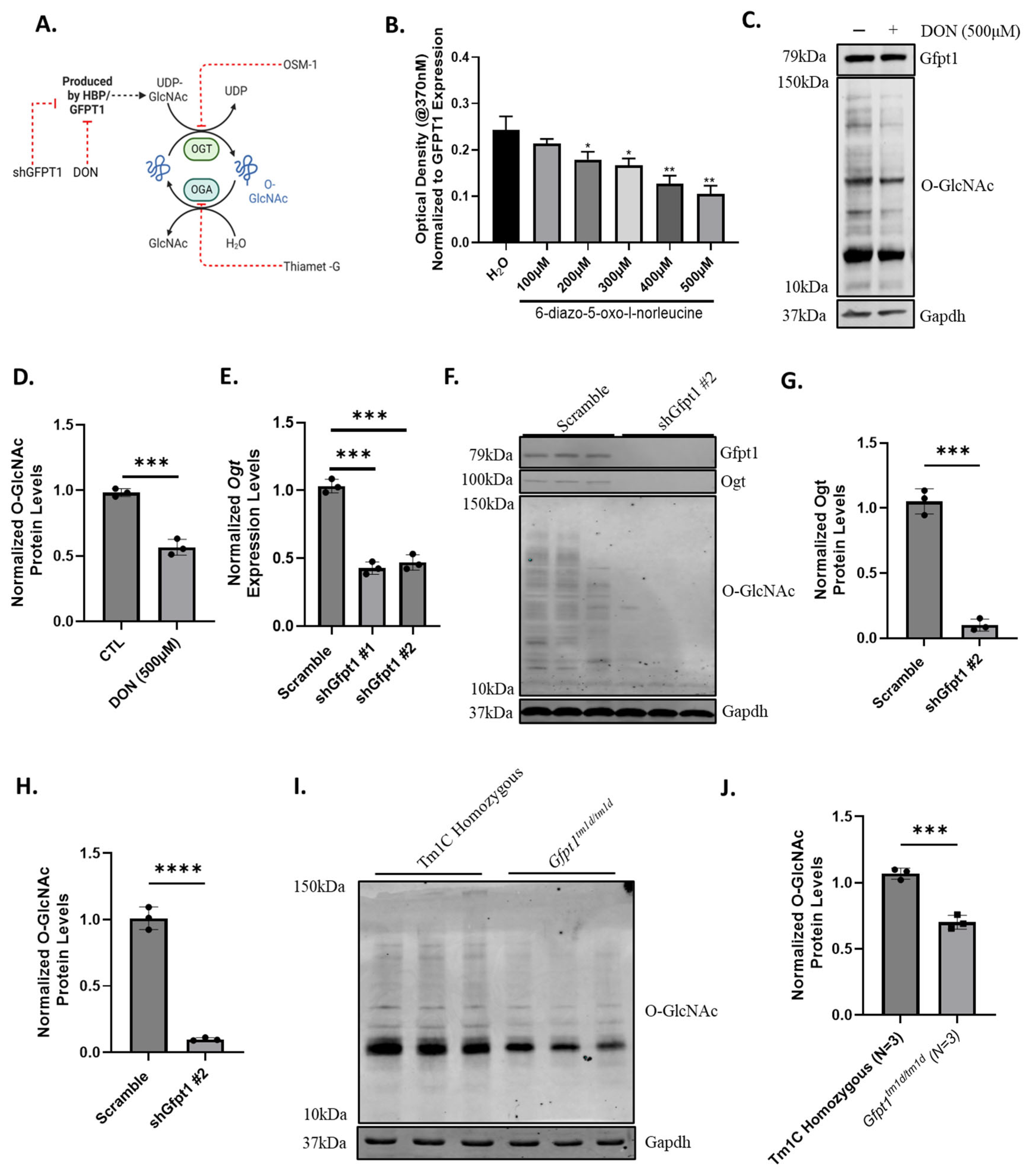Biomolecules 14 01252 g005
