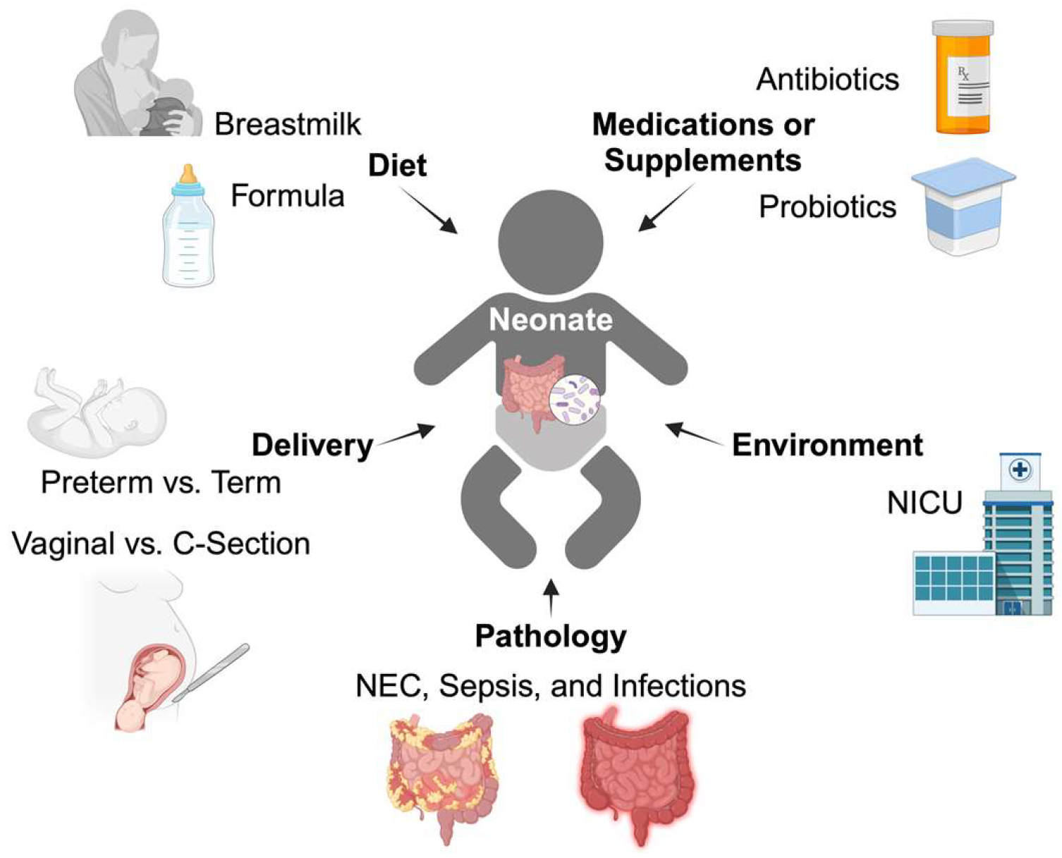 Biomolecules 14 01254 g001