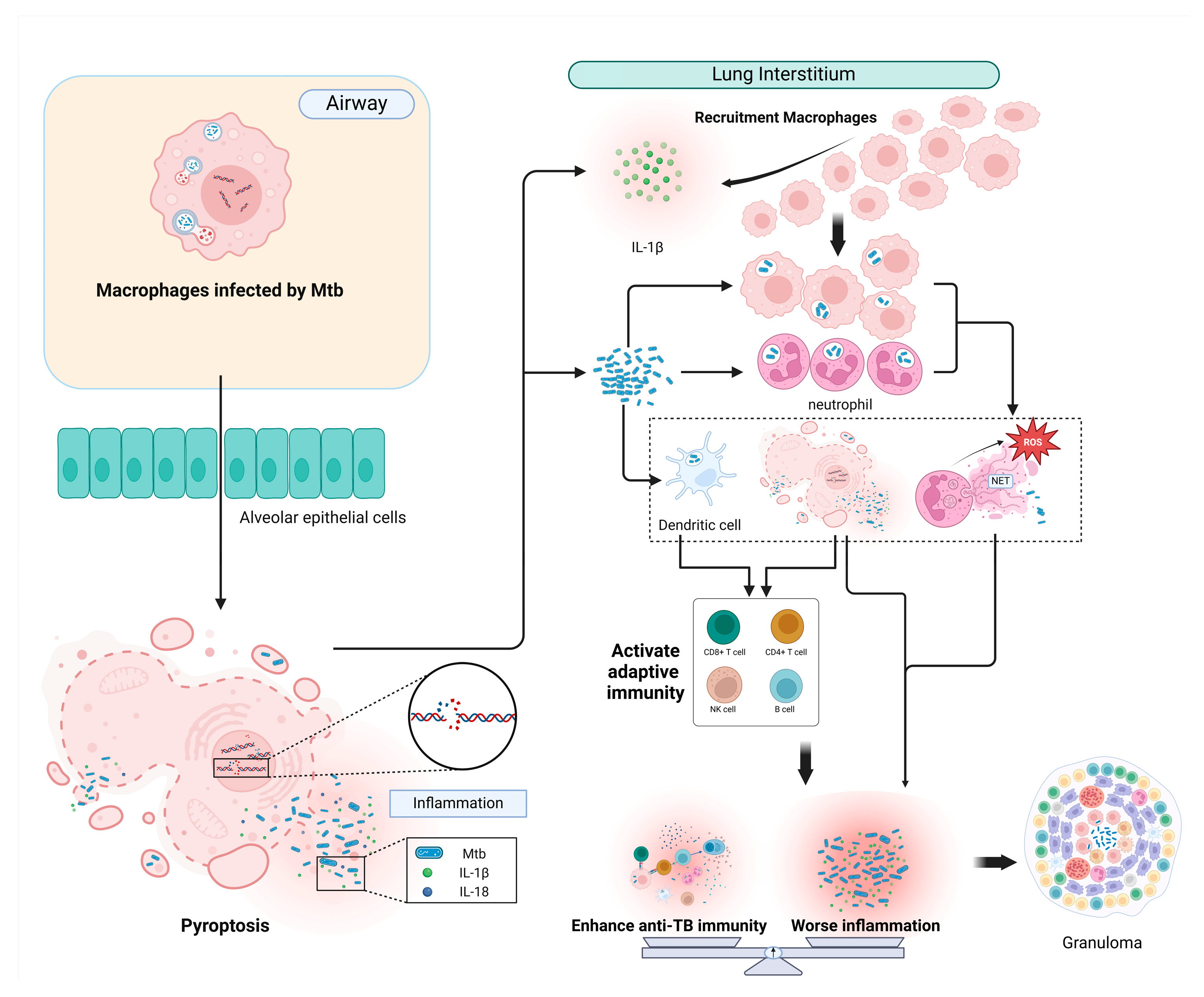 Biomolecules 14 01255 g002