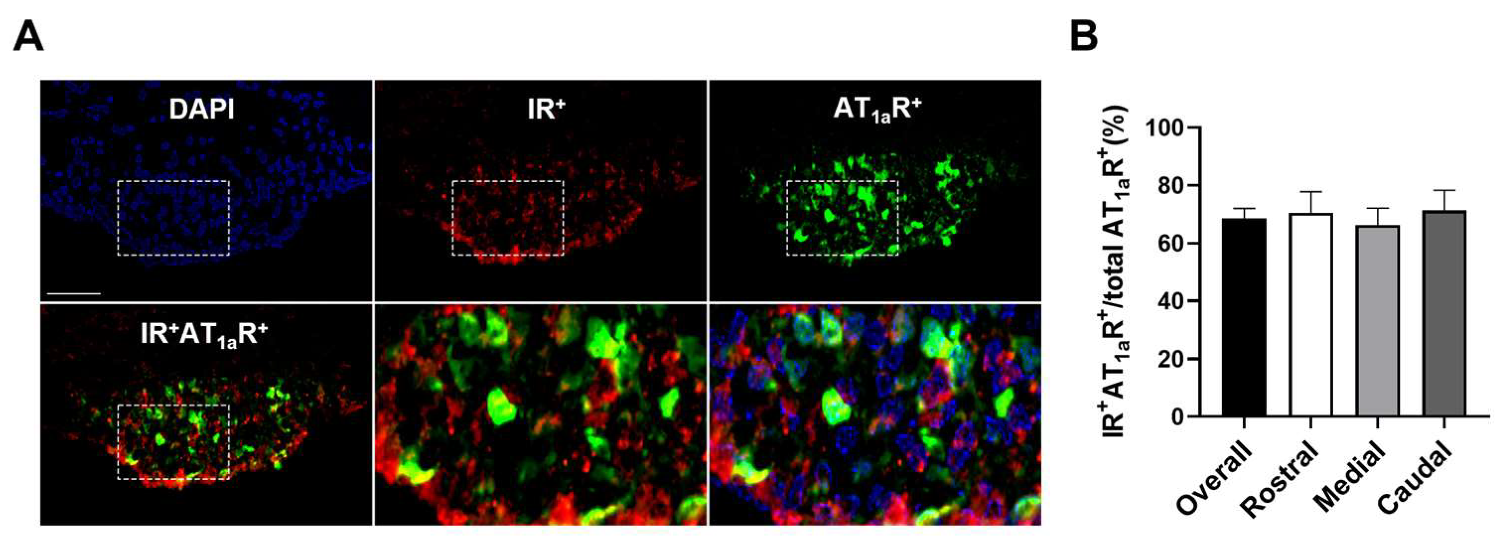 Biomolecules 14 01256 g005