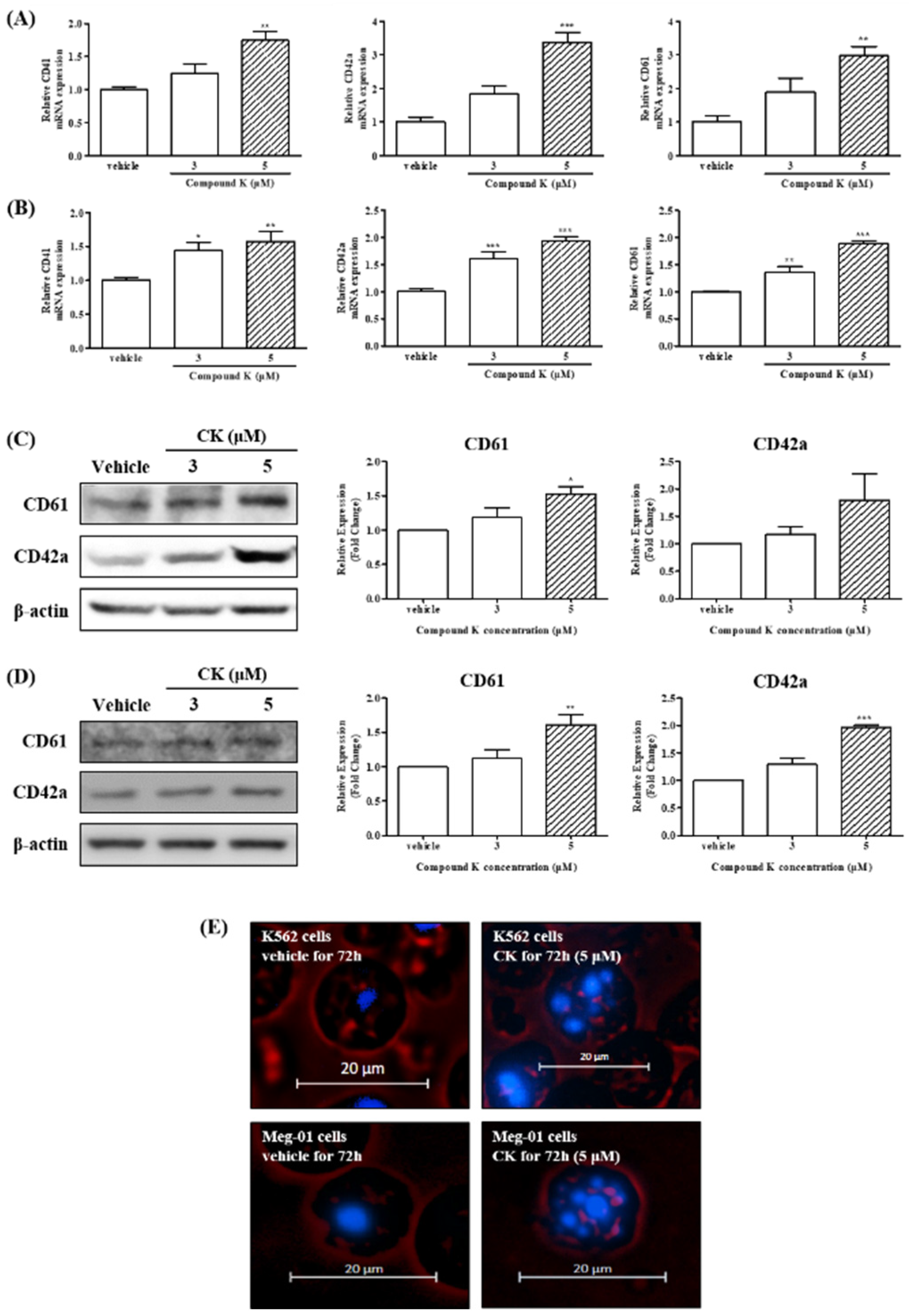 Biomolecules 14 01257 g002