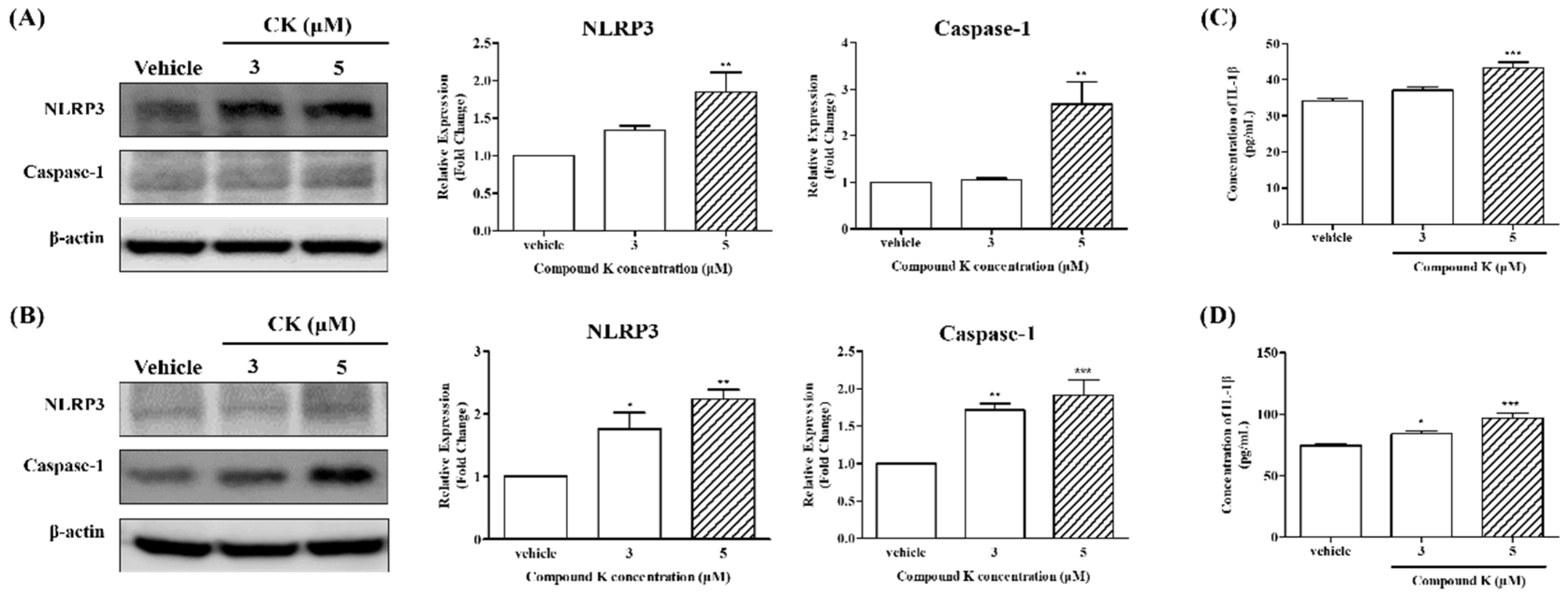 Biomolecules 14 01257 g006